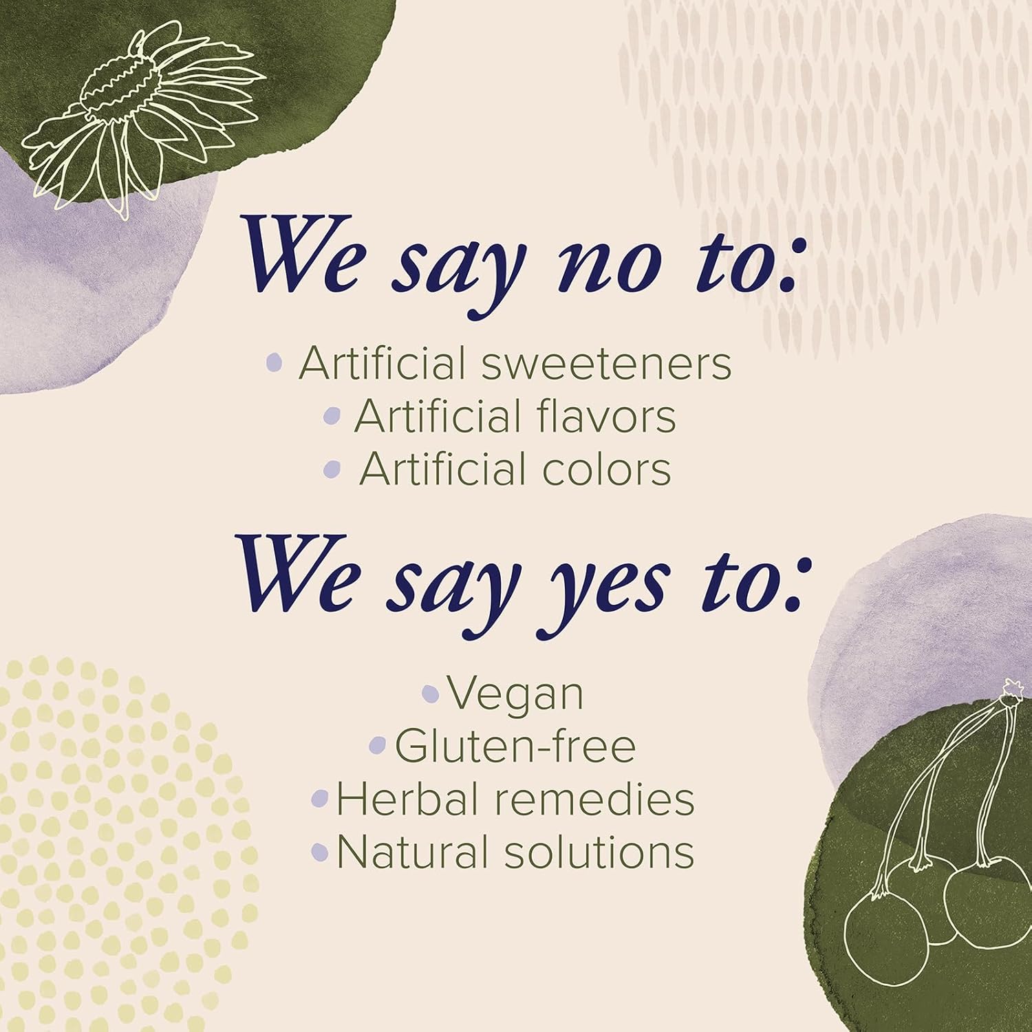 Zand Elderberry Zinc Dietary Gummy 60 Count