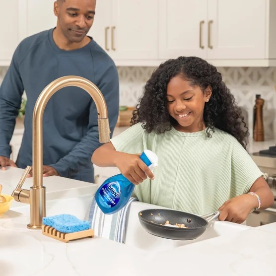 Dawn Platinum Plus Powerwash Dish Spray Starter Kit + 2 Refills – Fresh Clean