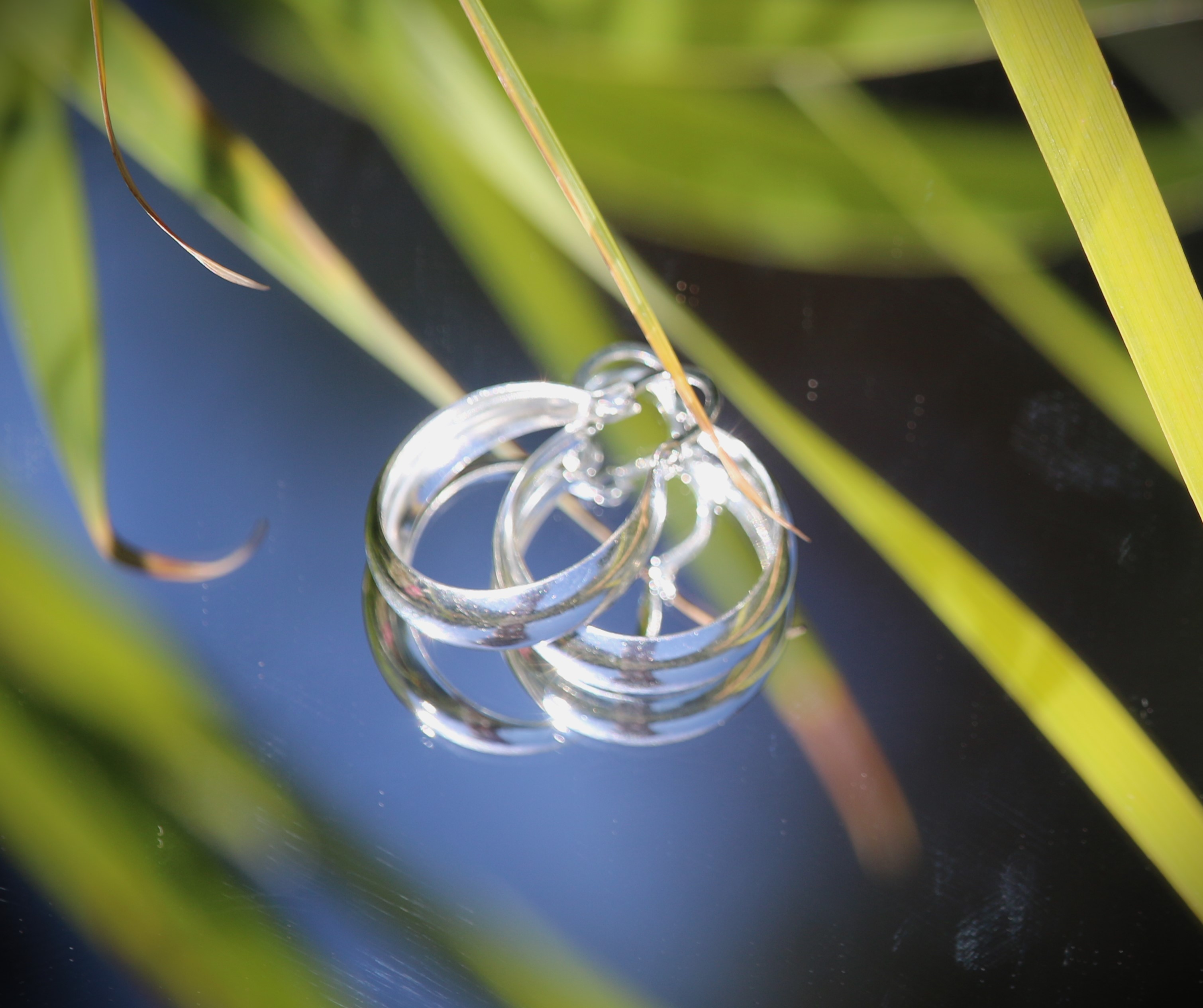 Argollas Ciudad de Mex