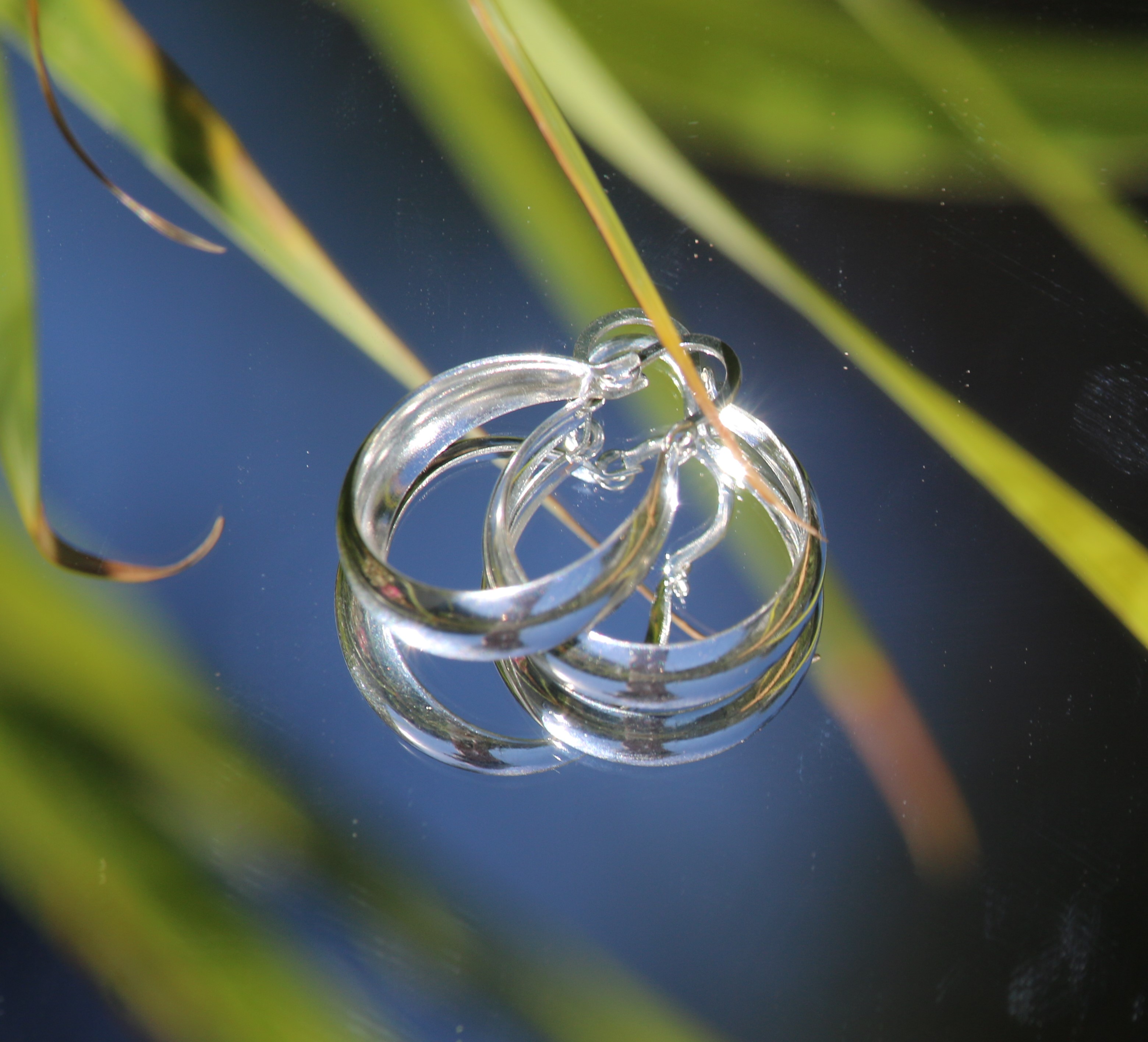 Argollas Ciudad de Mex