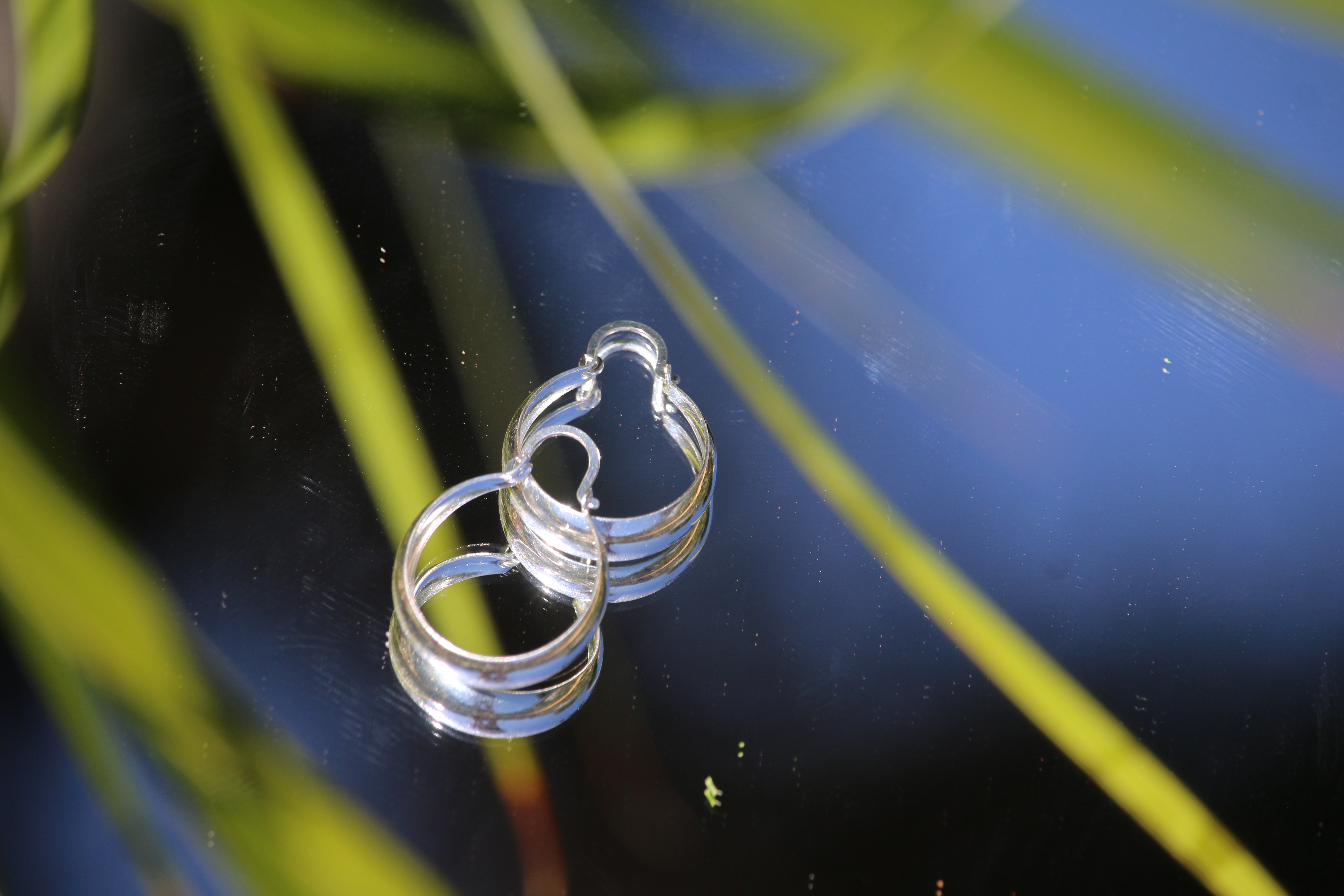 Argollas Ciudad de Mex