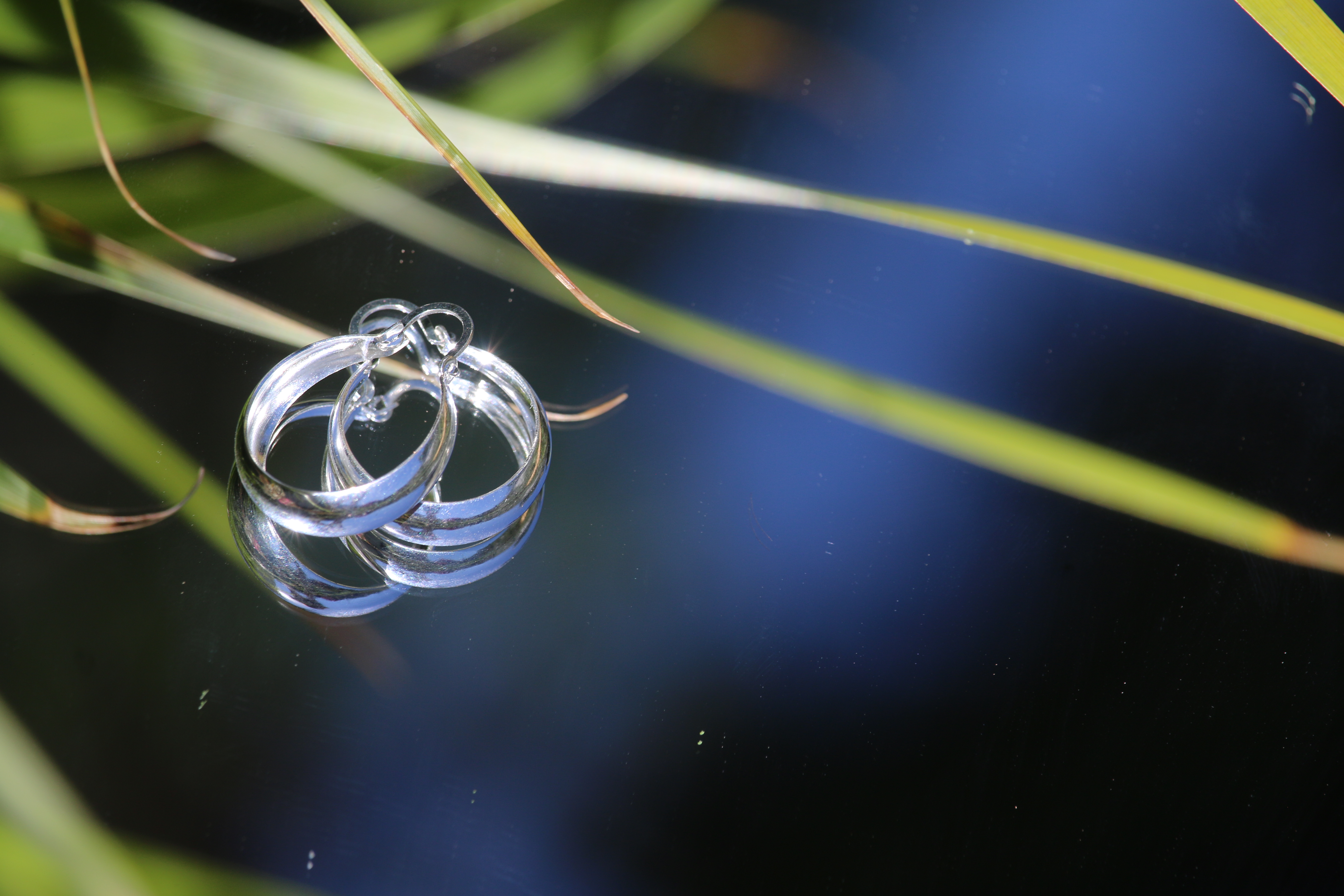 Argollas Ciudad de Mex