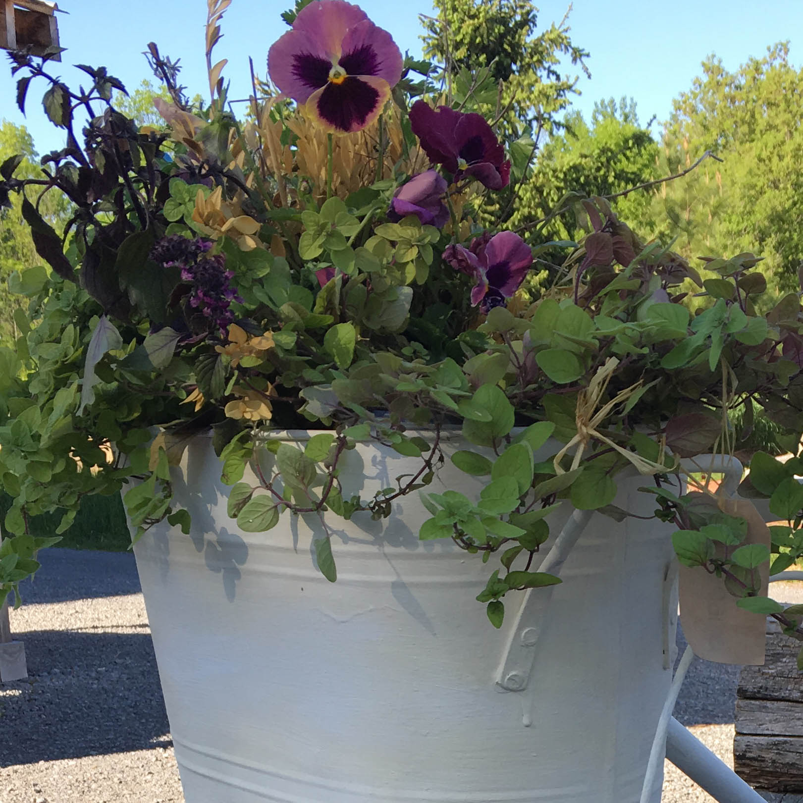 Kitchen Herb Planter