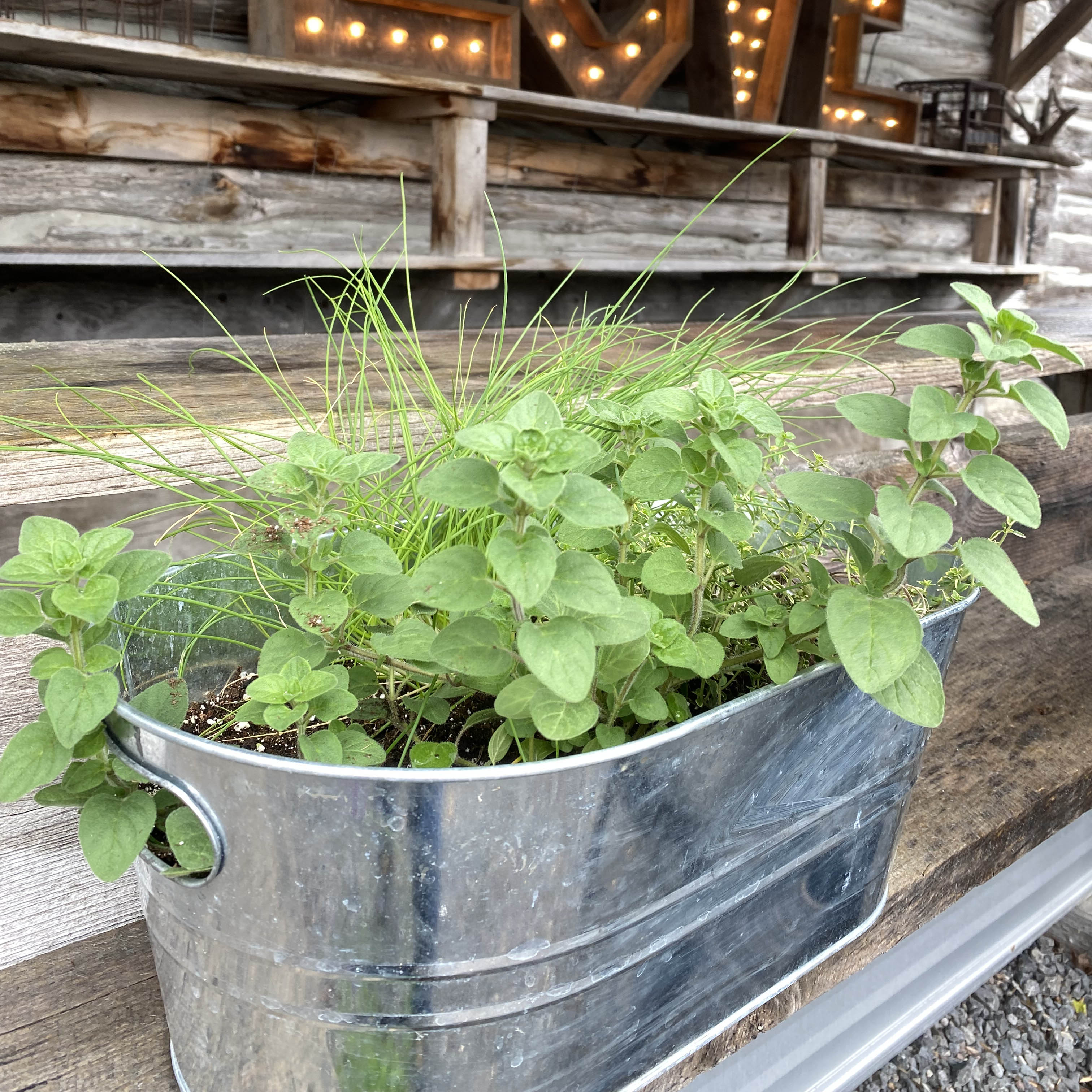 Herb Planter Workshop