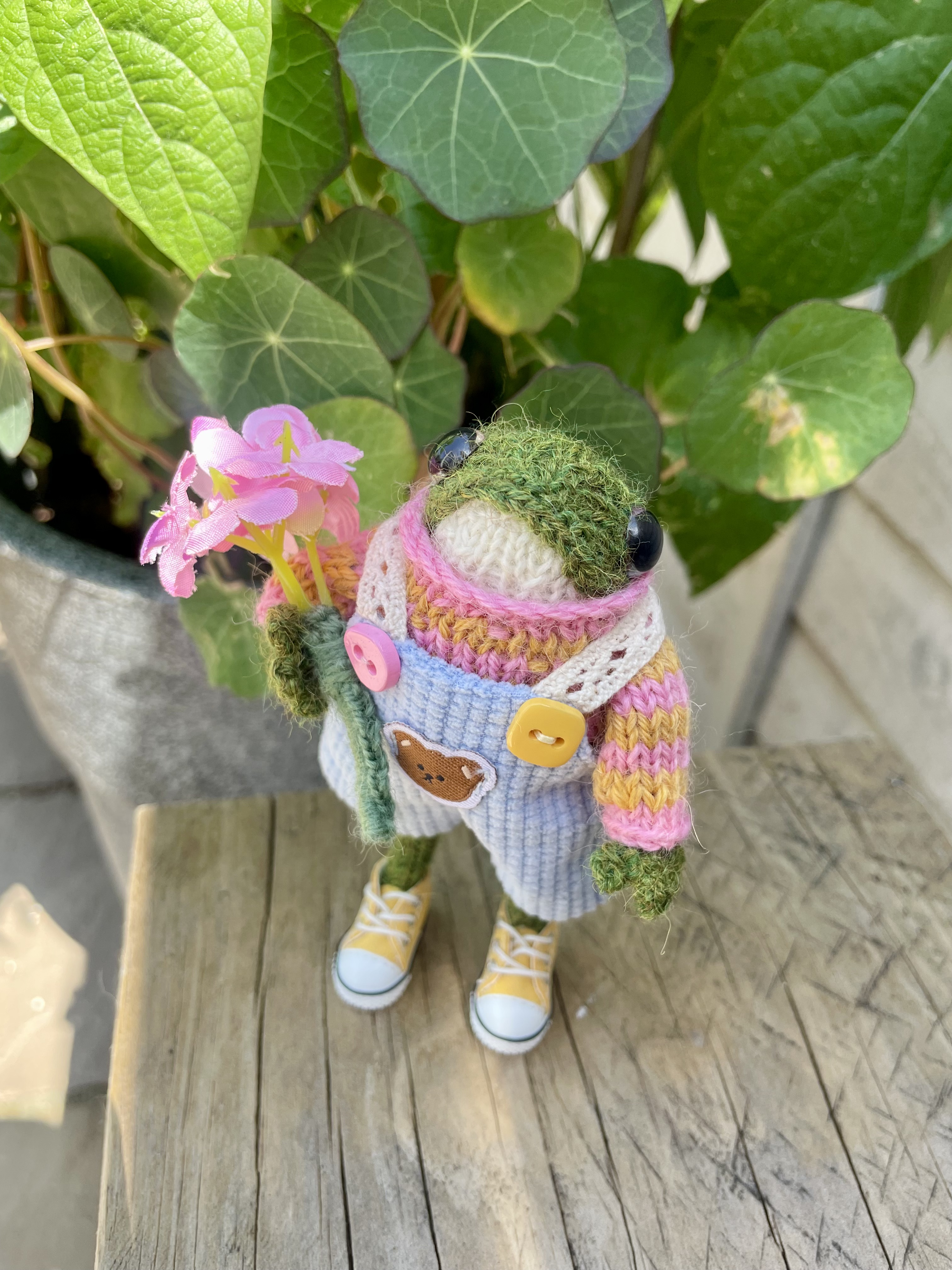 Meet Lola: The Tiny Hand-Knitted Frog