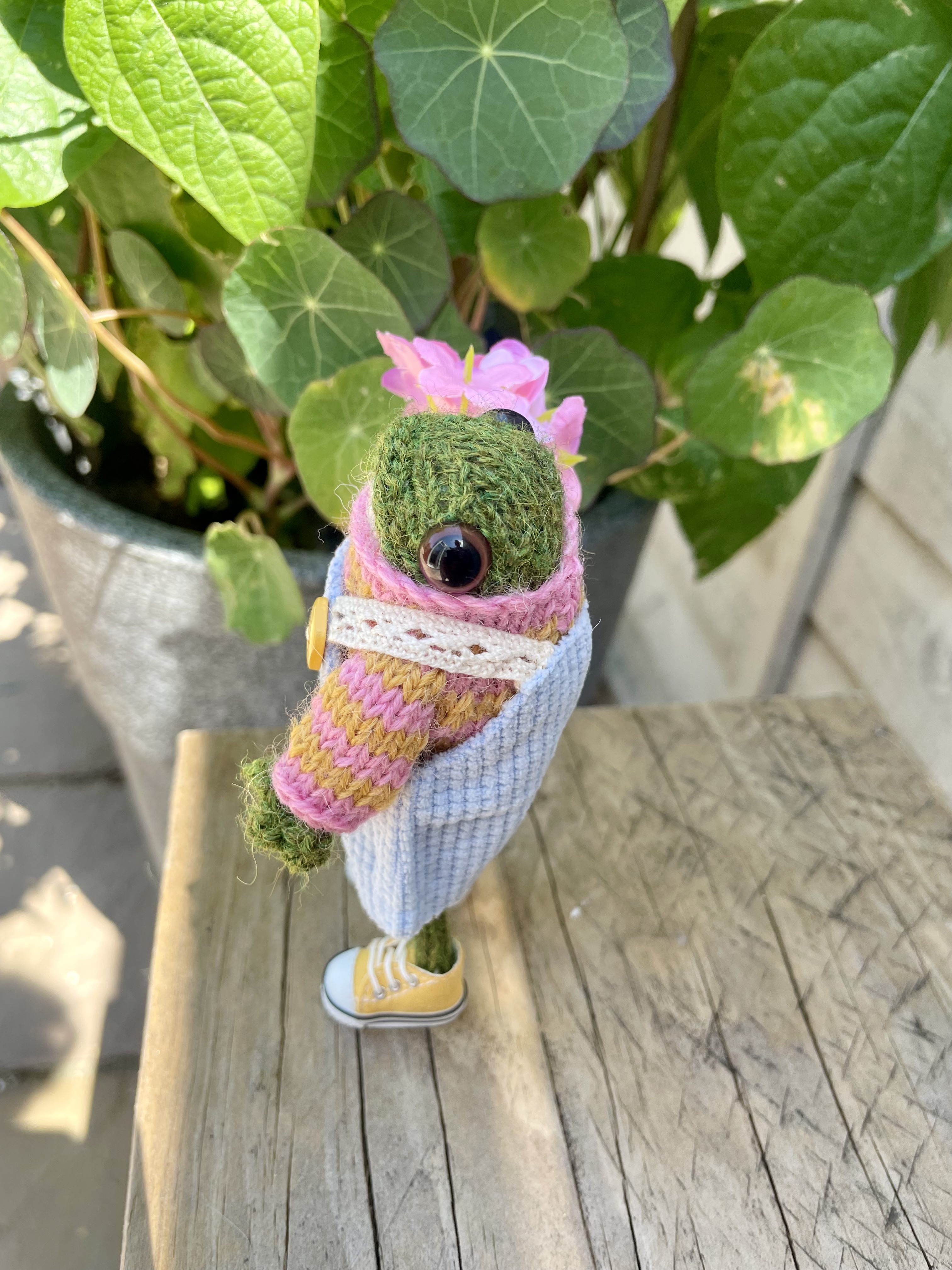 Meet Lola: The Tiny Hand-Knitted Frog