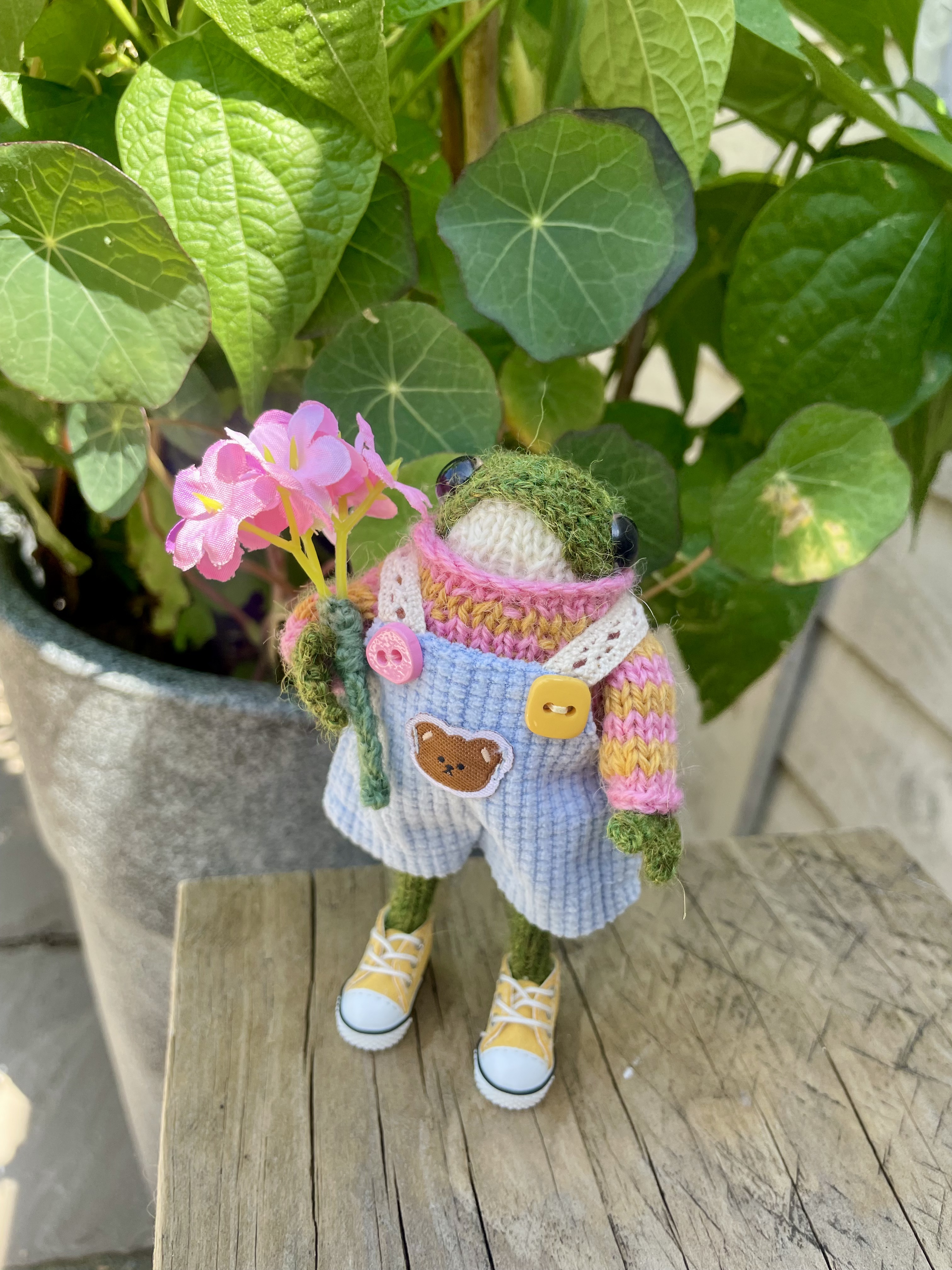 Meet Lola: The Tiny Hand-Knitted Frog