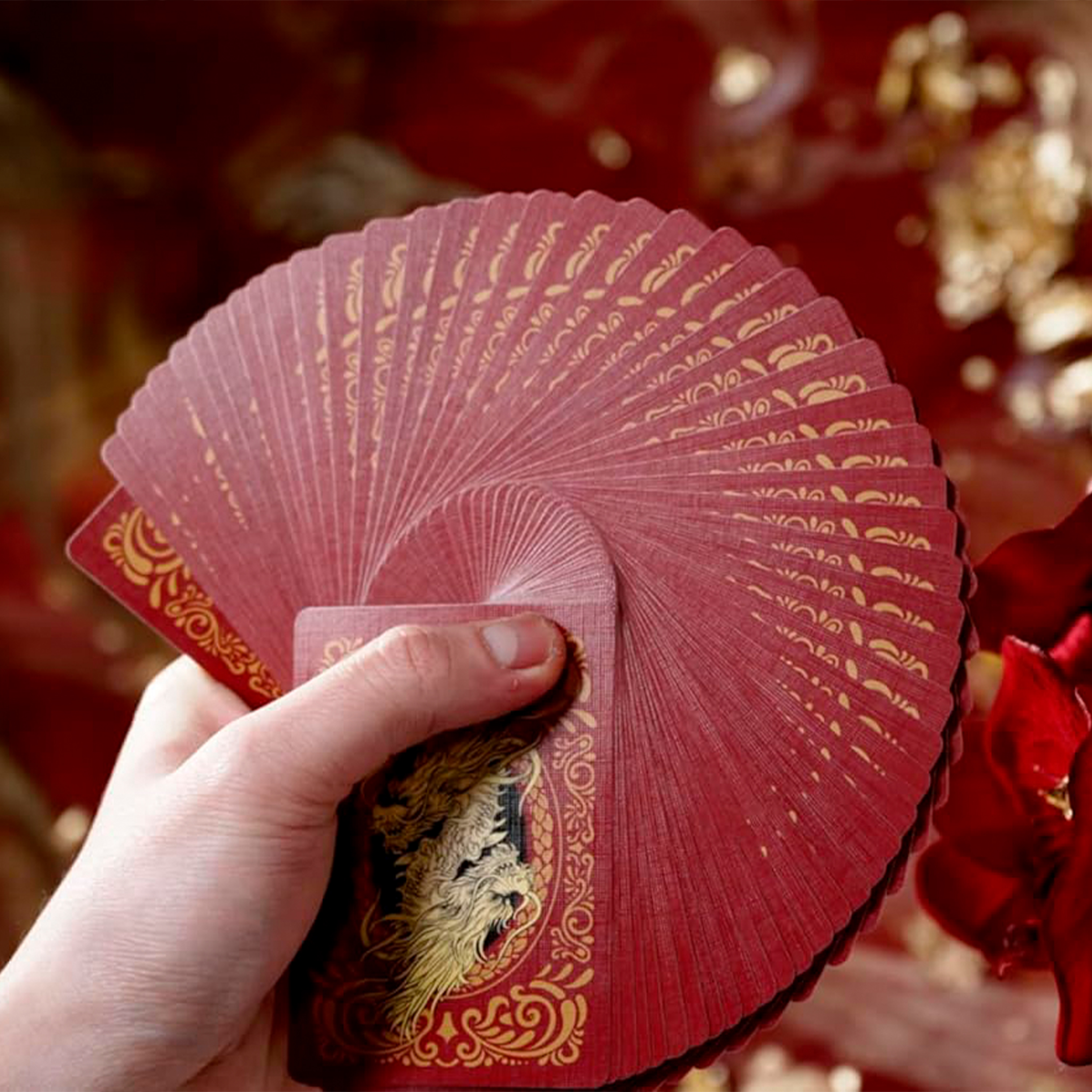 Red Dragon - Bicycle