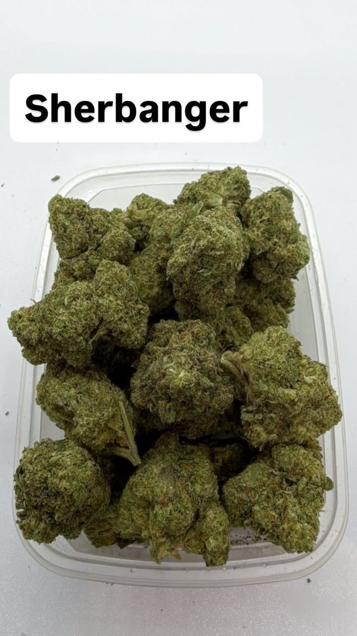 Canadienne Top 🇨🇦