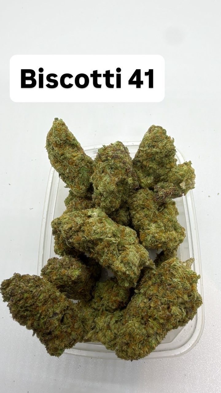 Canadienne Top 🇨🇦 