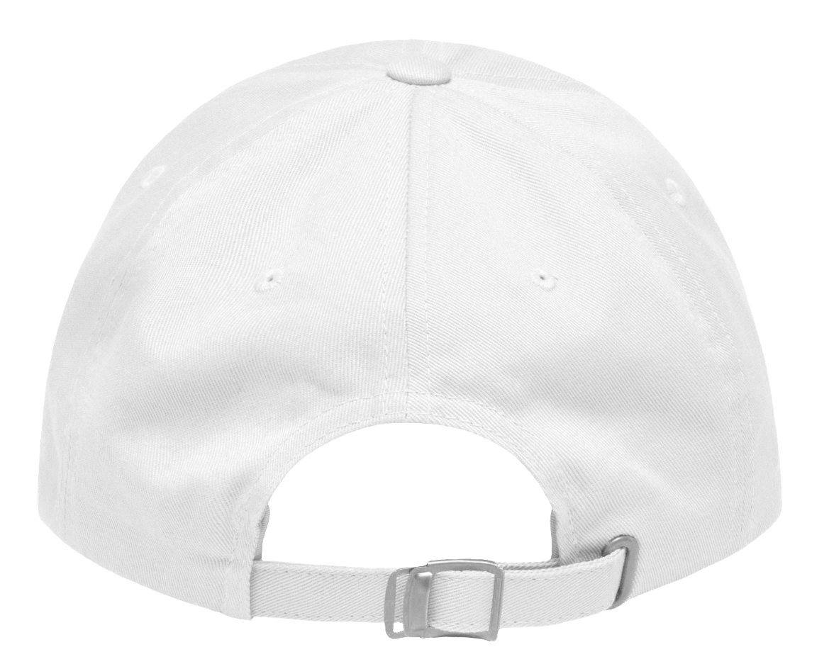 Psalm 22:31 Prophesy Cap