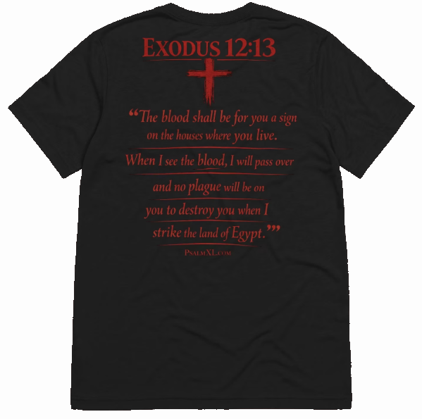 Exodus 12:13 Tri-Blend T-Shirt