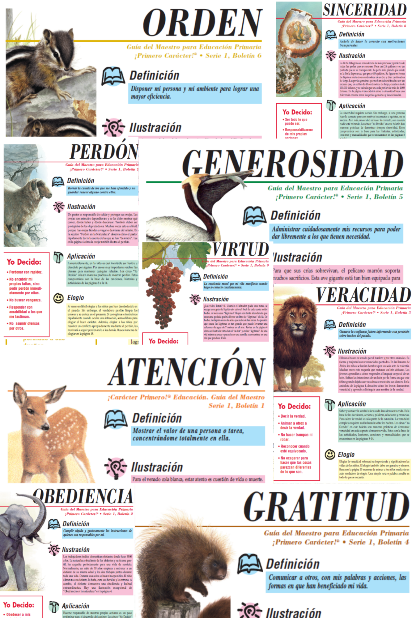 Paquete Serie 1 | Educación