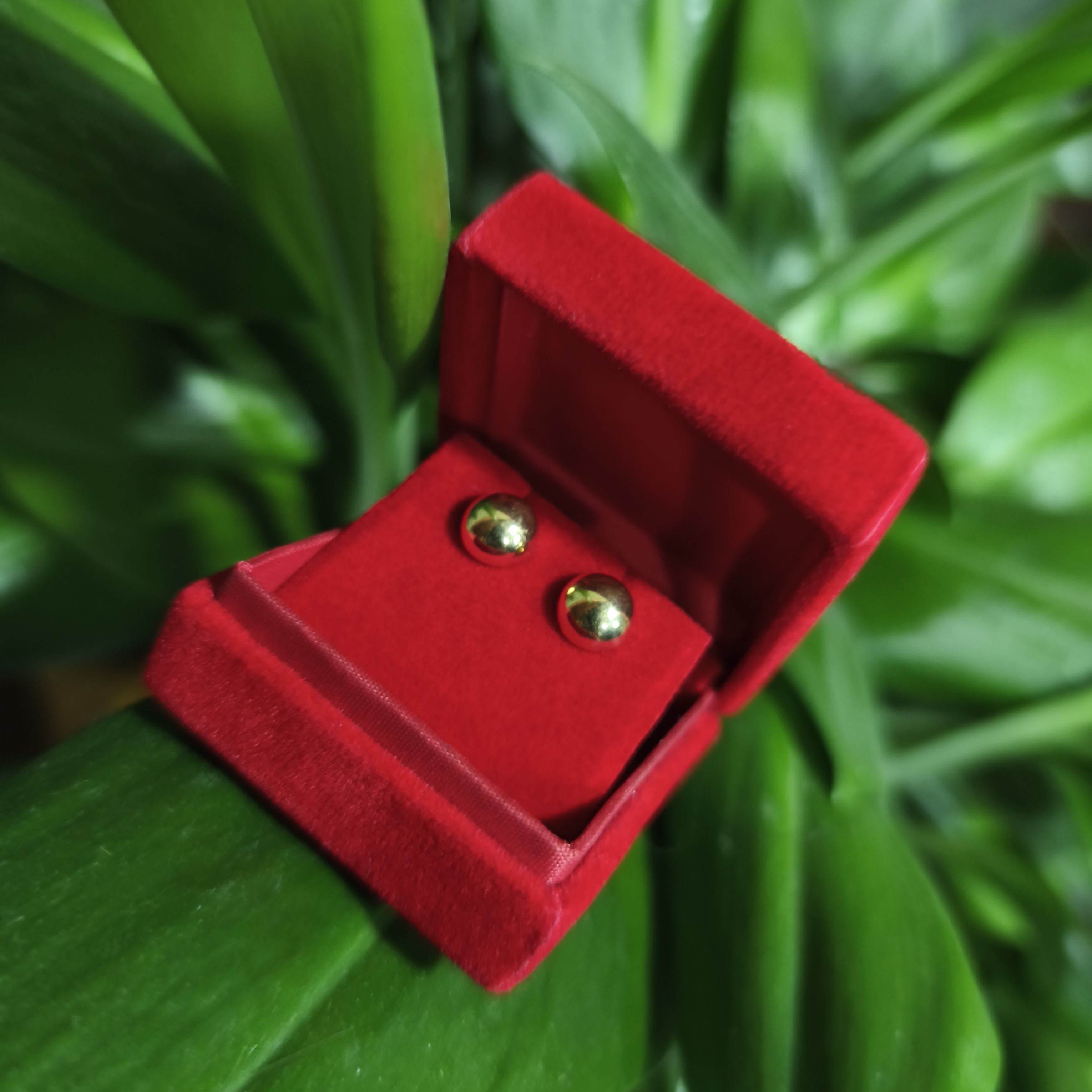 Alegantes aretes tipo tpo en oro de 18K.