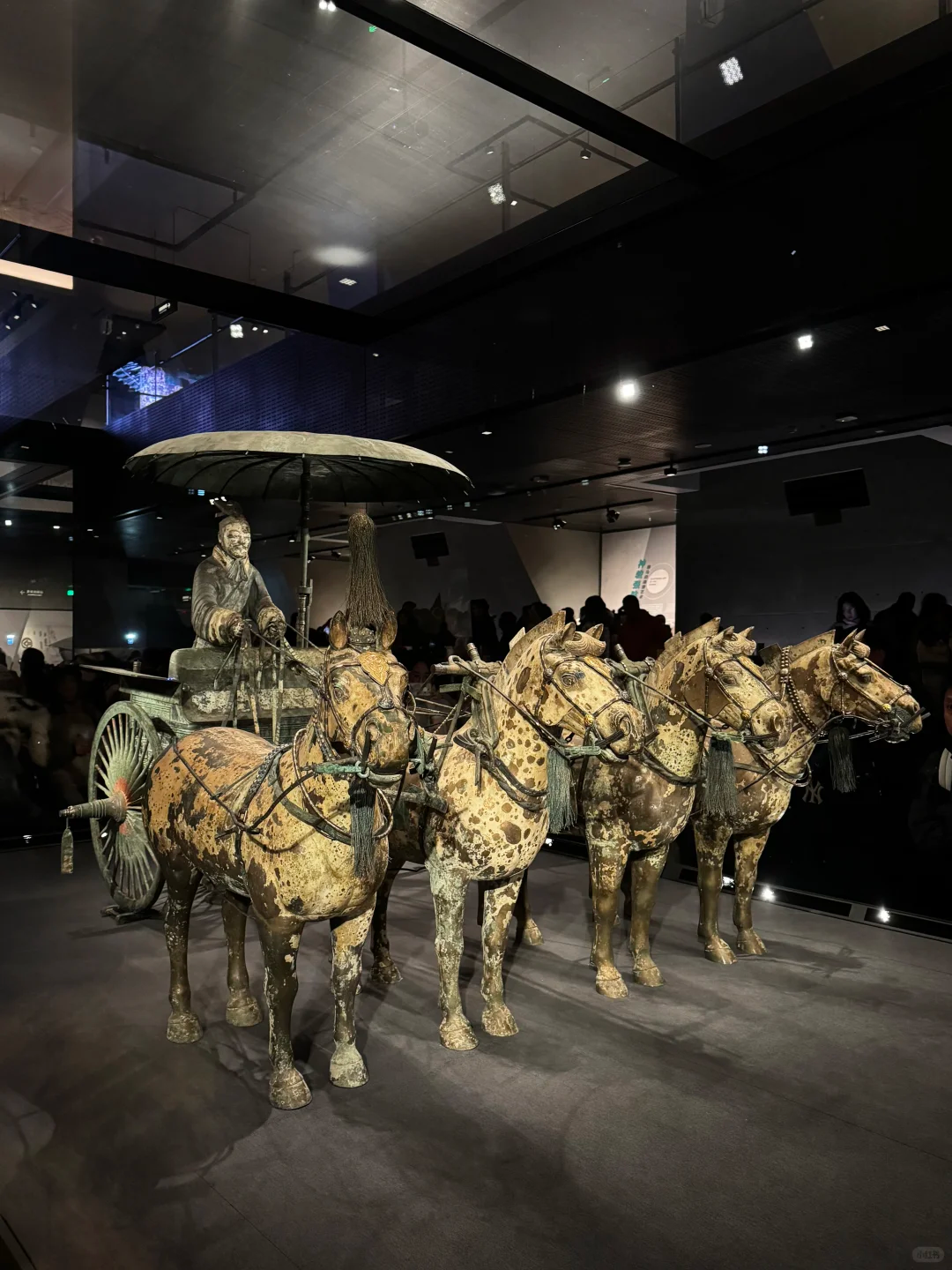 Decoding Chang’an: A 5-Day In-Depth Museum Exploration Tour
