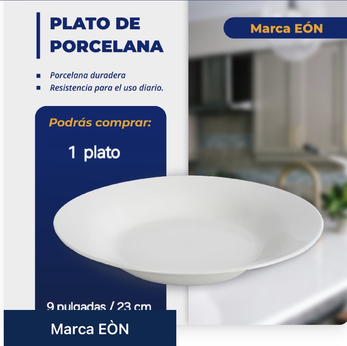 Plato de porcelana
