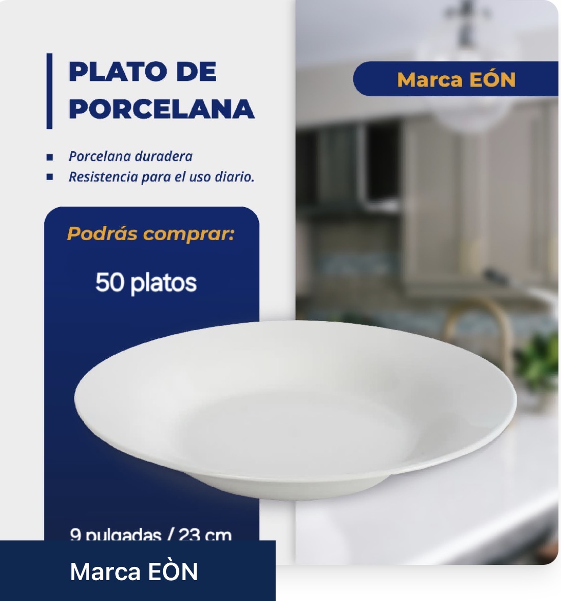 Plato de Porcelana