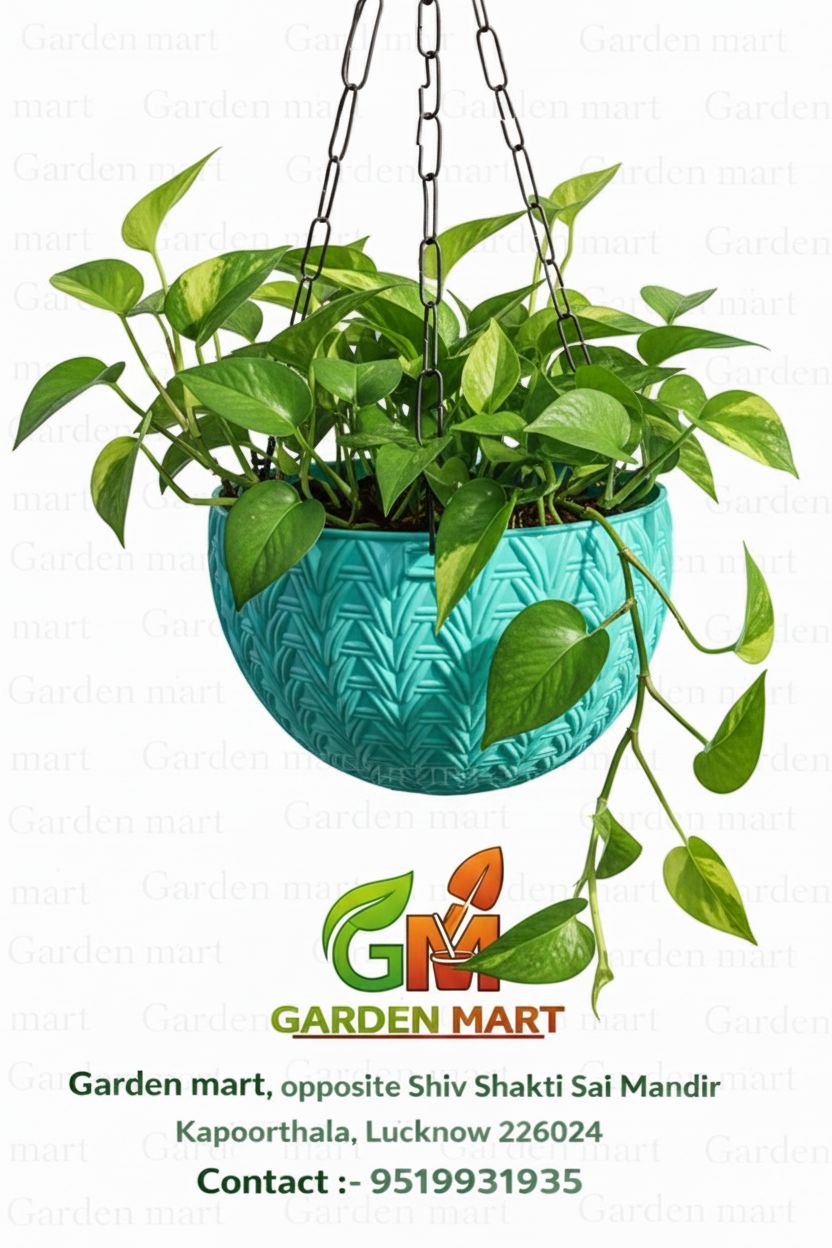 Elegant Ceramic Planter