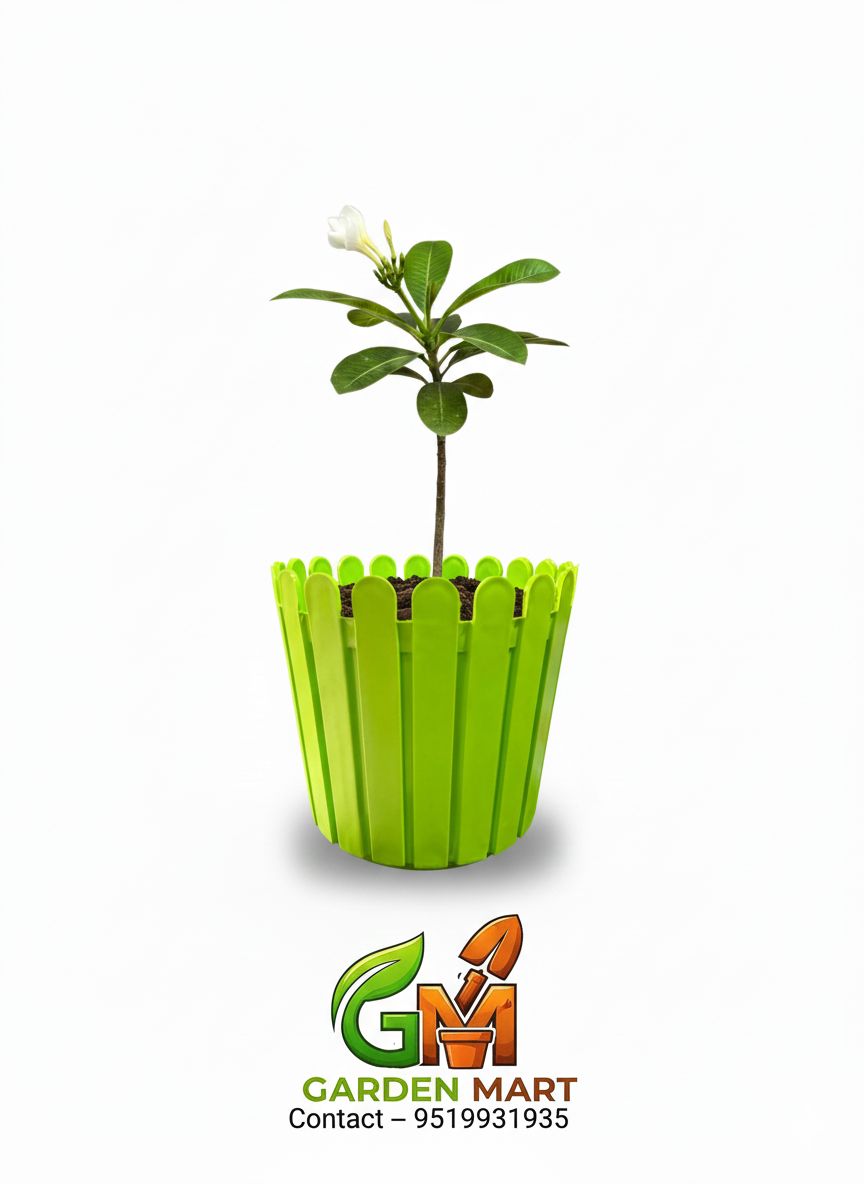 Elegant Ceramic Planter