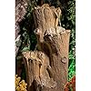 Nature Inspired Carved Tree Western Hemlock Water Fountain for Home, Office, Garden Beige Color XL