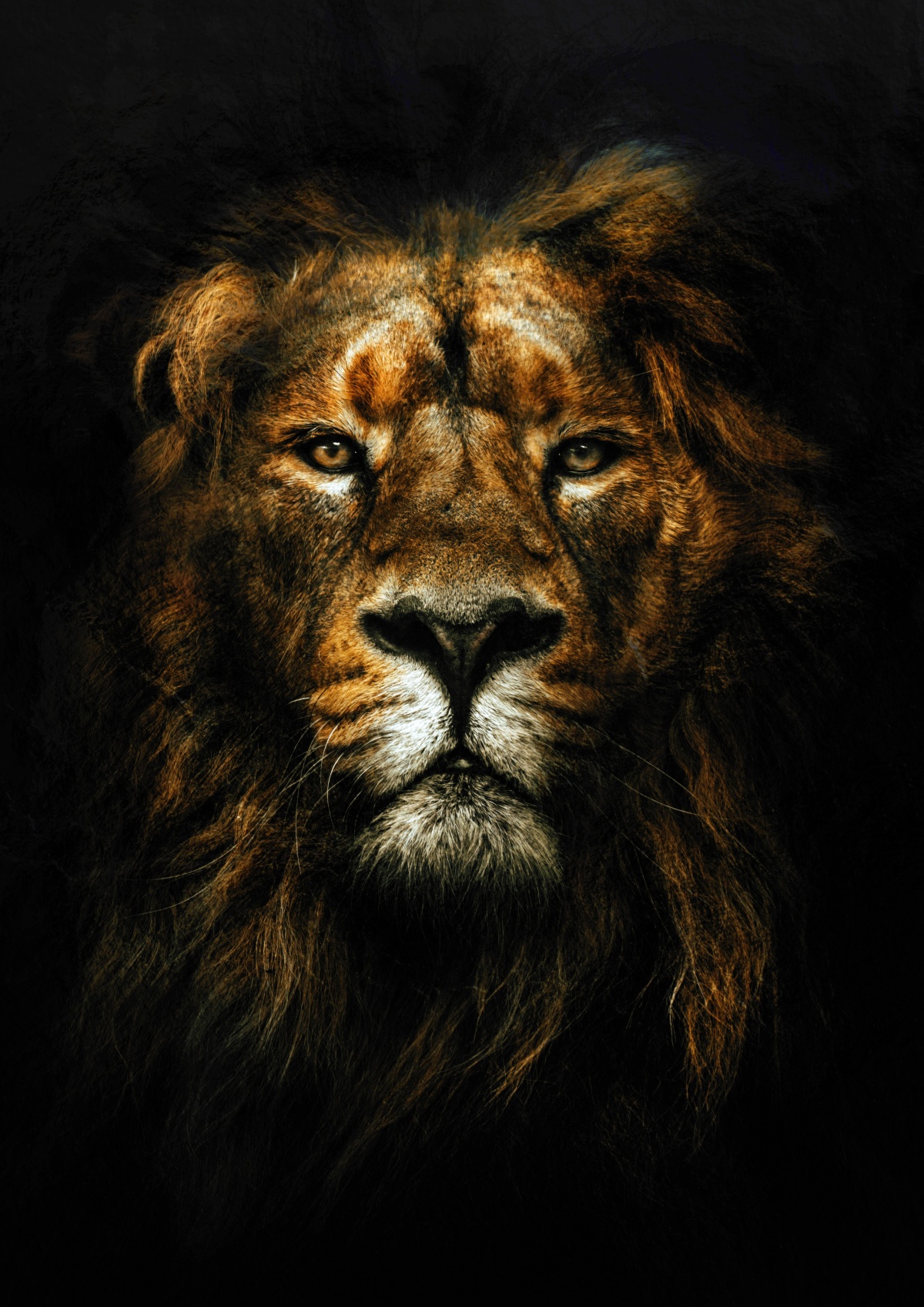 Leão Realista Leão de Judah 3