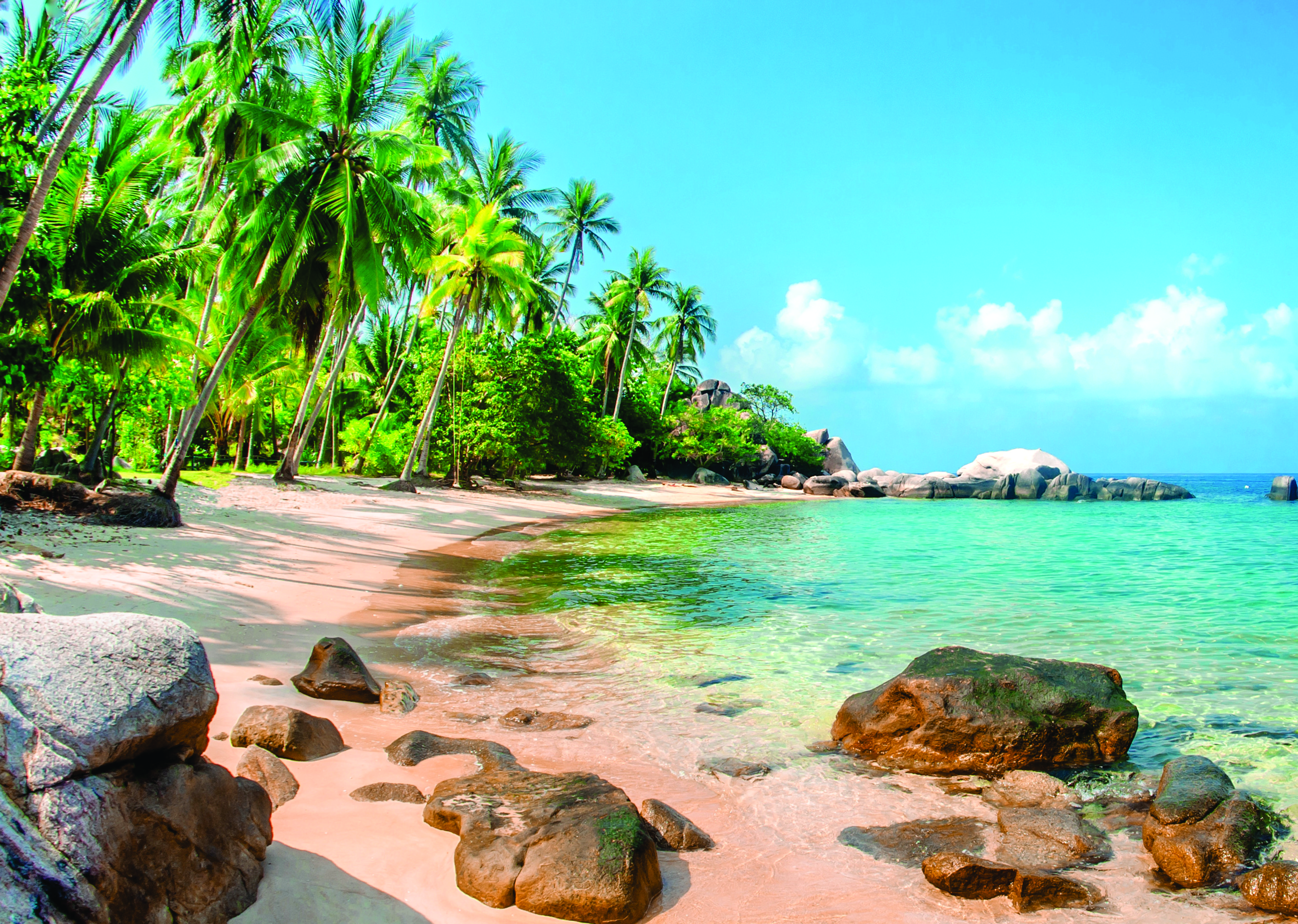 Praia Tropical com Palmeiras