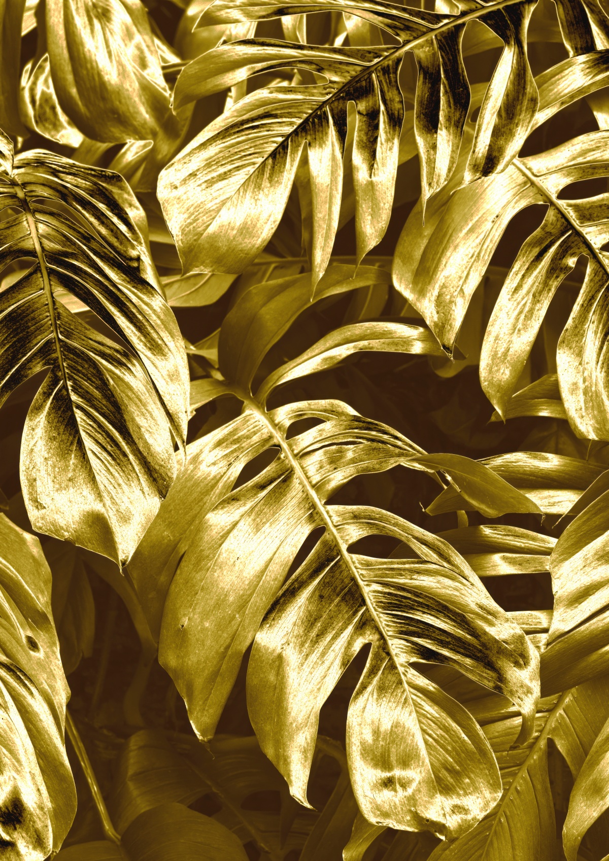 Golden Plant 9