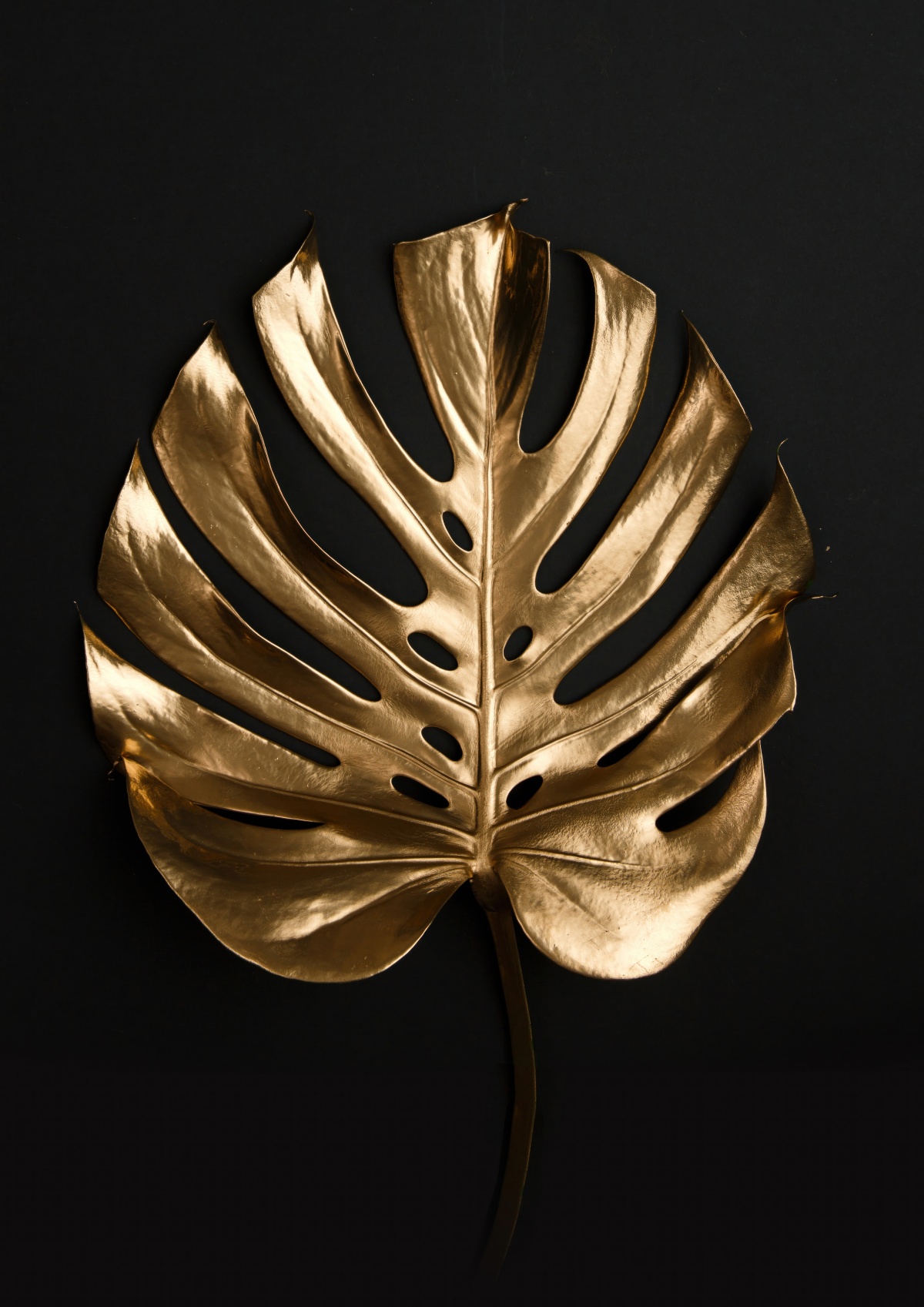 Golden Plant 4