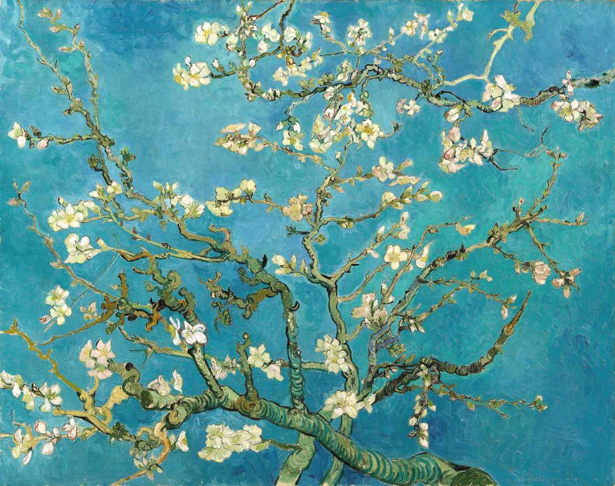 Amendoeira em Flor de Vincent van Gogh