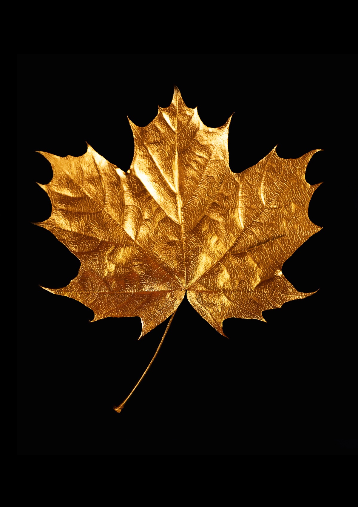 Folha Dourada 1