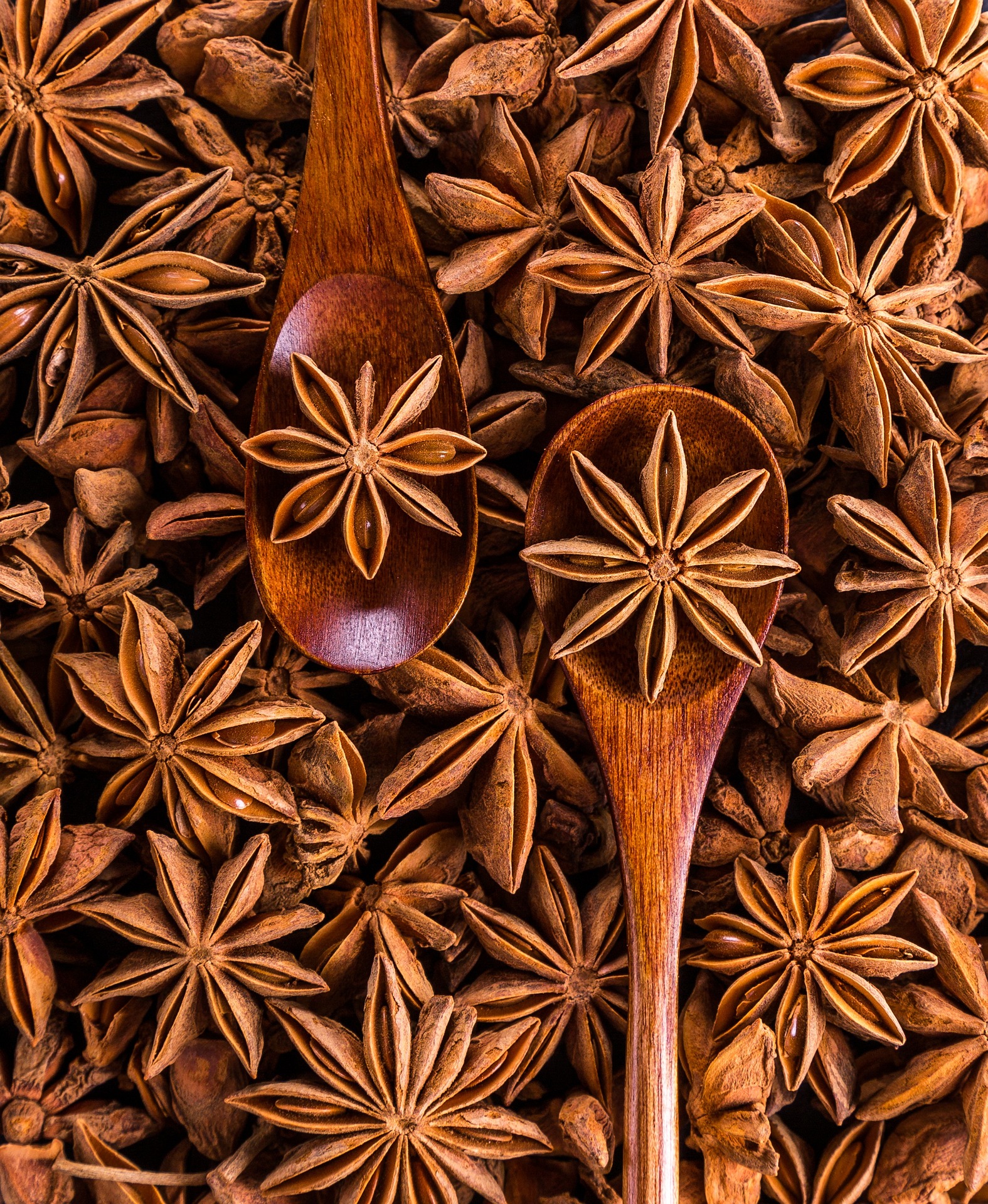 Whole Star Anise