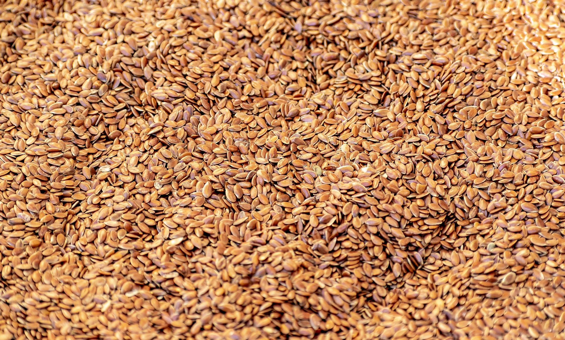 Flax Seeds
