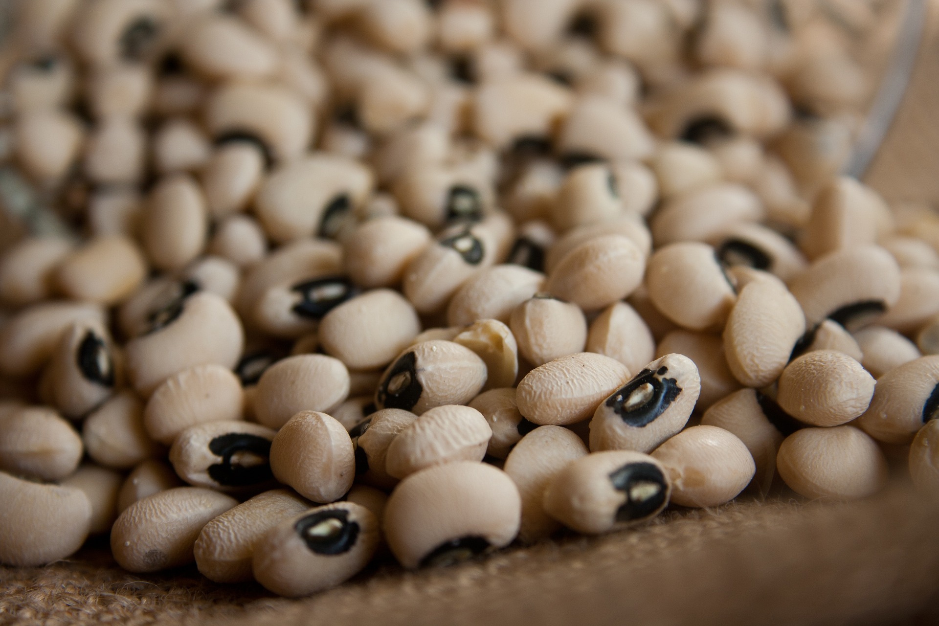 Black Eyed Peas