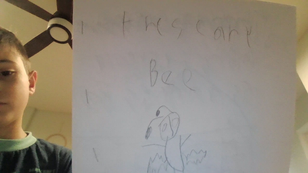 the Scary Bee paper version book