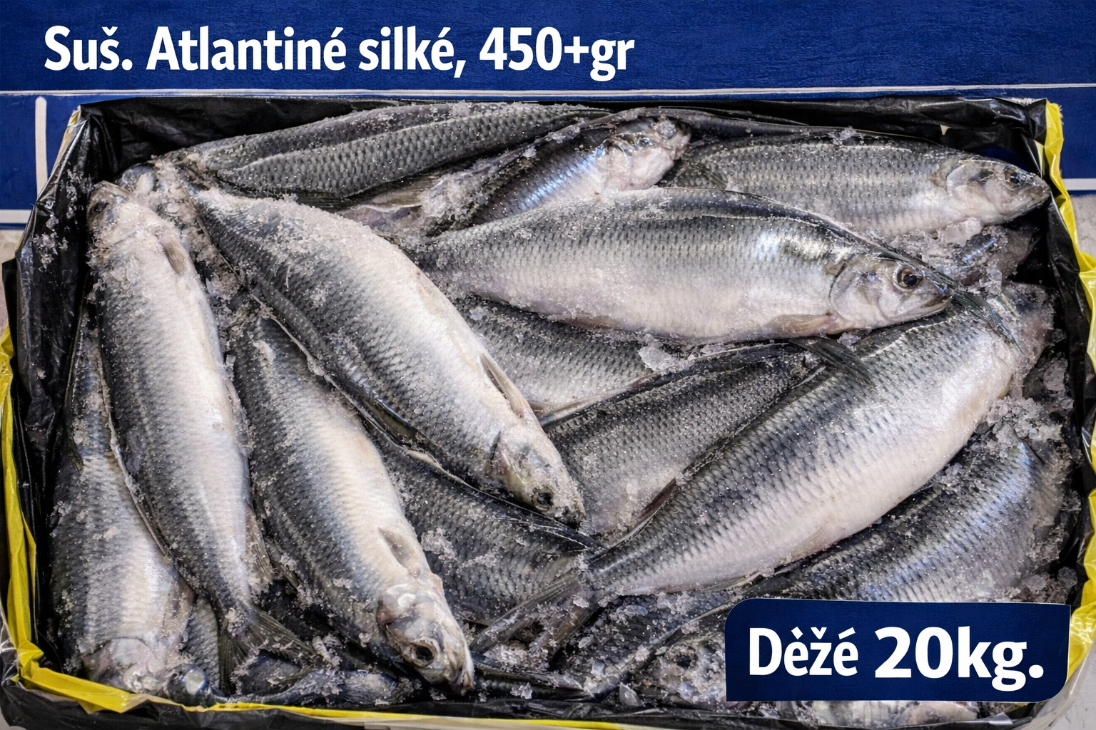 Suš. Atlantinė silkė, 450+gr