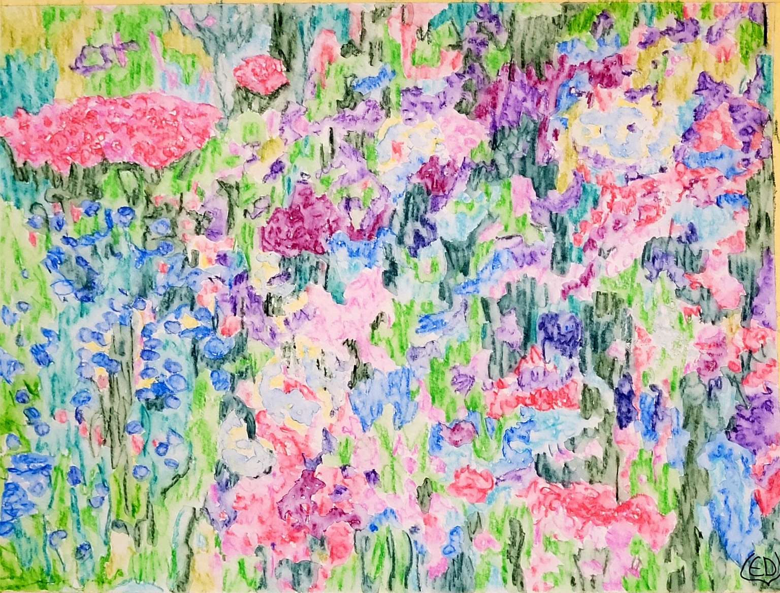 Fleurs en jachère, dessin aquarellé contemporain, Eveline David-Valette