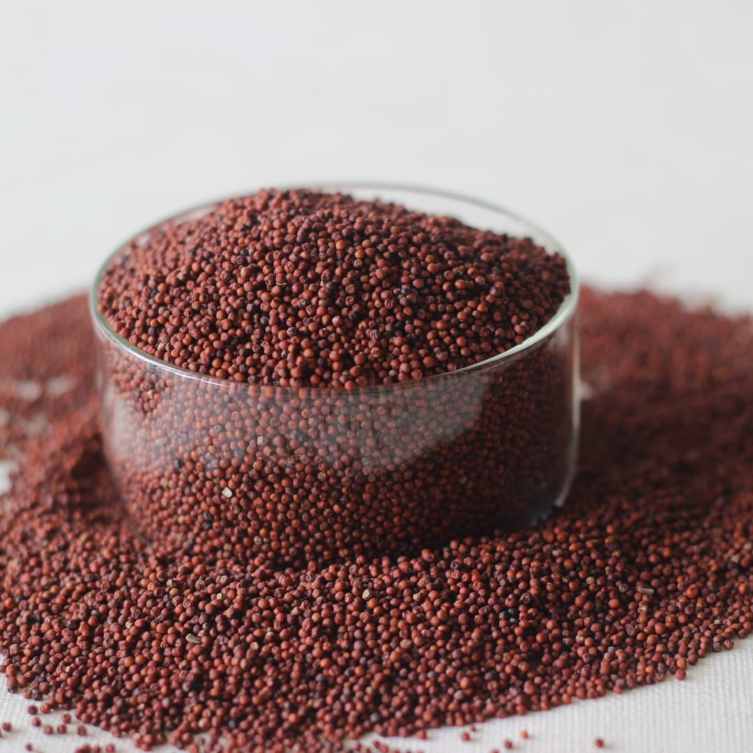 Ragi Seeds