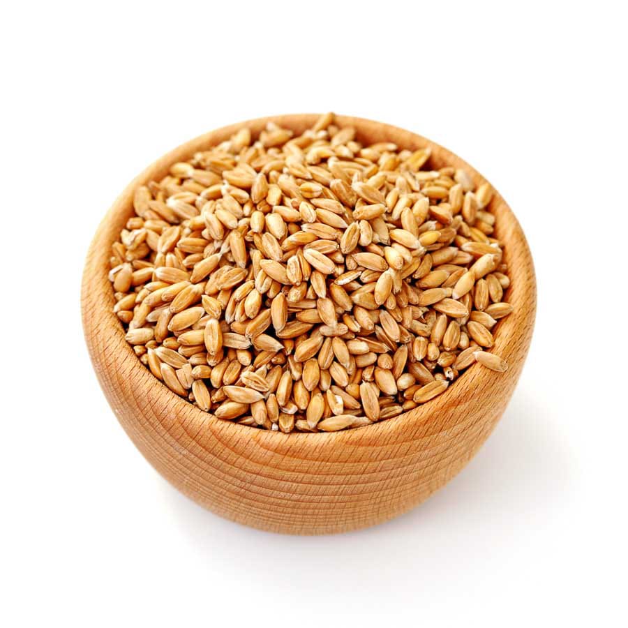 Whole Wheat Grains