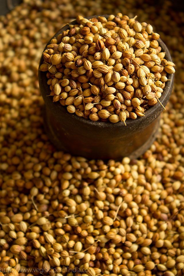 Whole Coriander Seeds