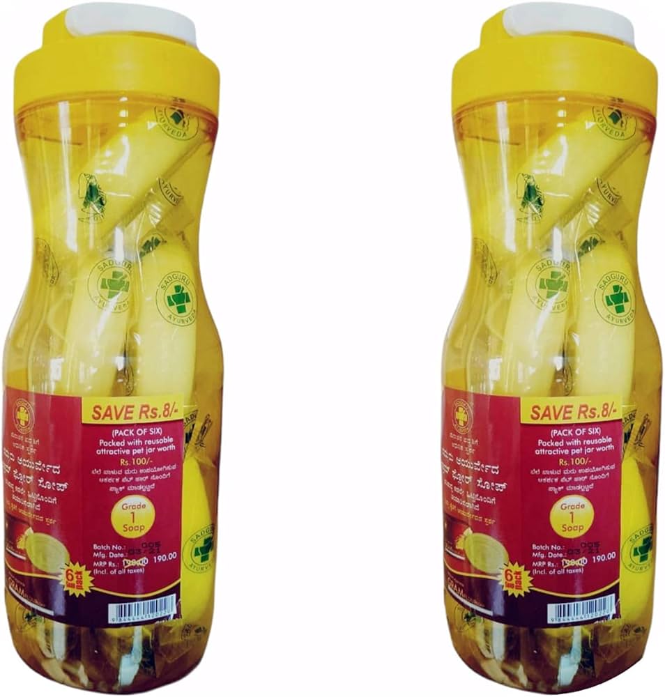 Premium Banana Chips Jar