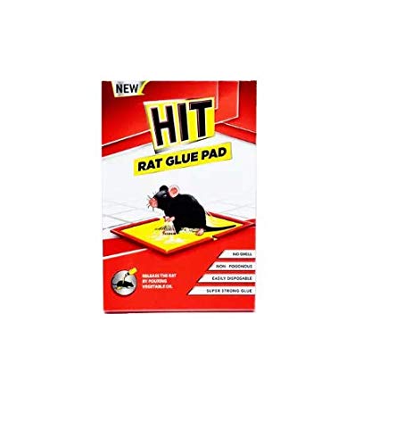 HIT Rat Glue Pad