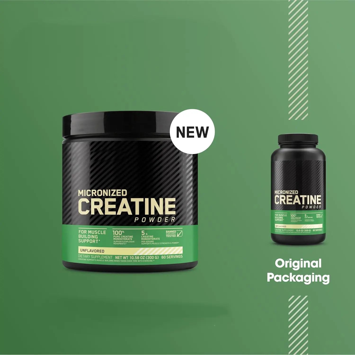 Creatine Powder Micronized W