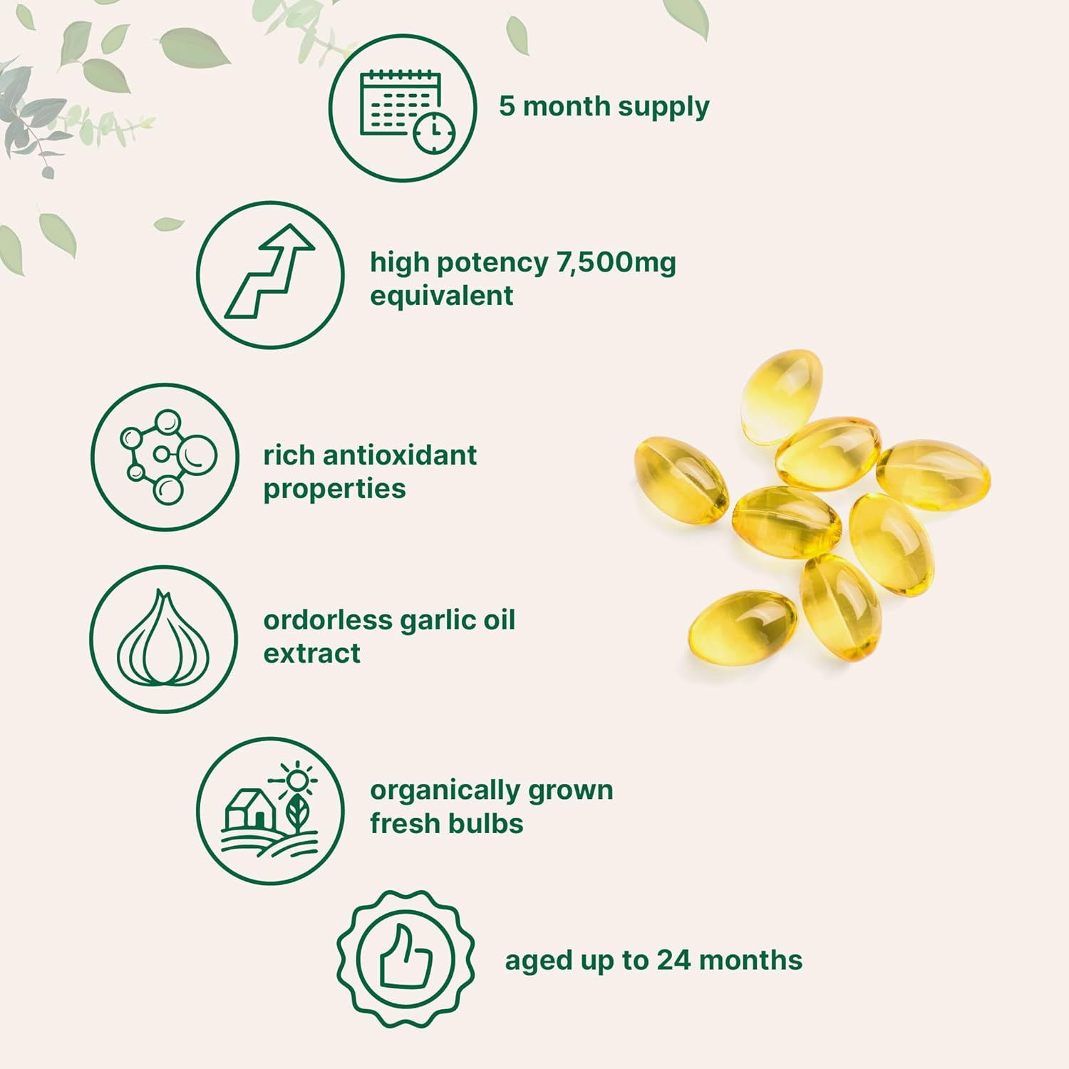 Garlic oil capsule W