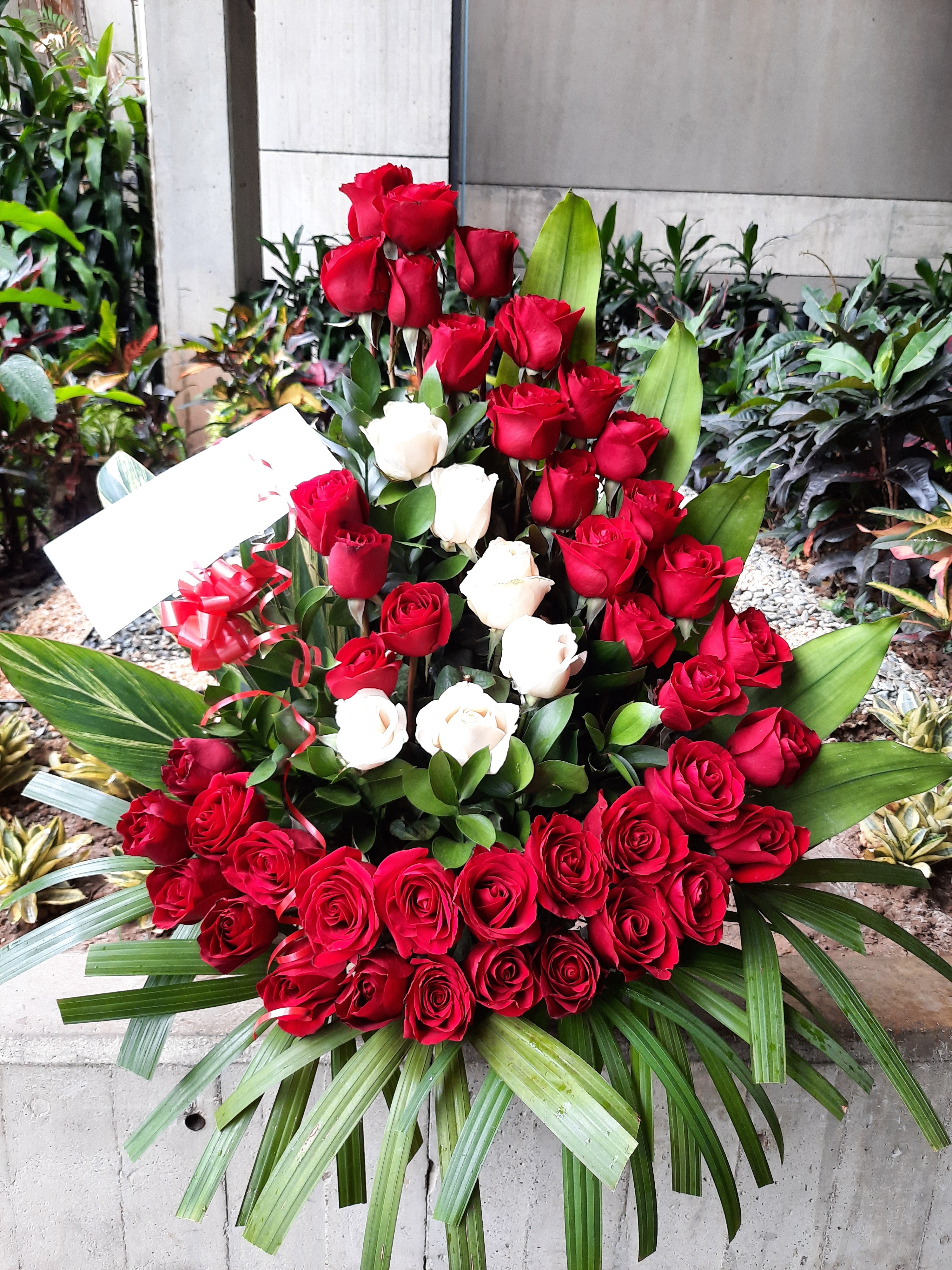 Arreglo de Rosas Bicolor