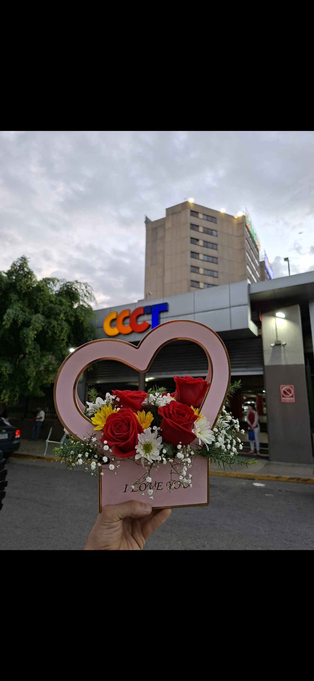 Cartera Corazon pequeña