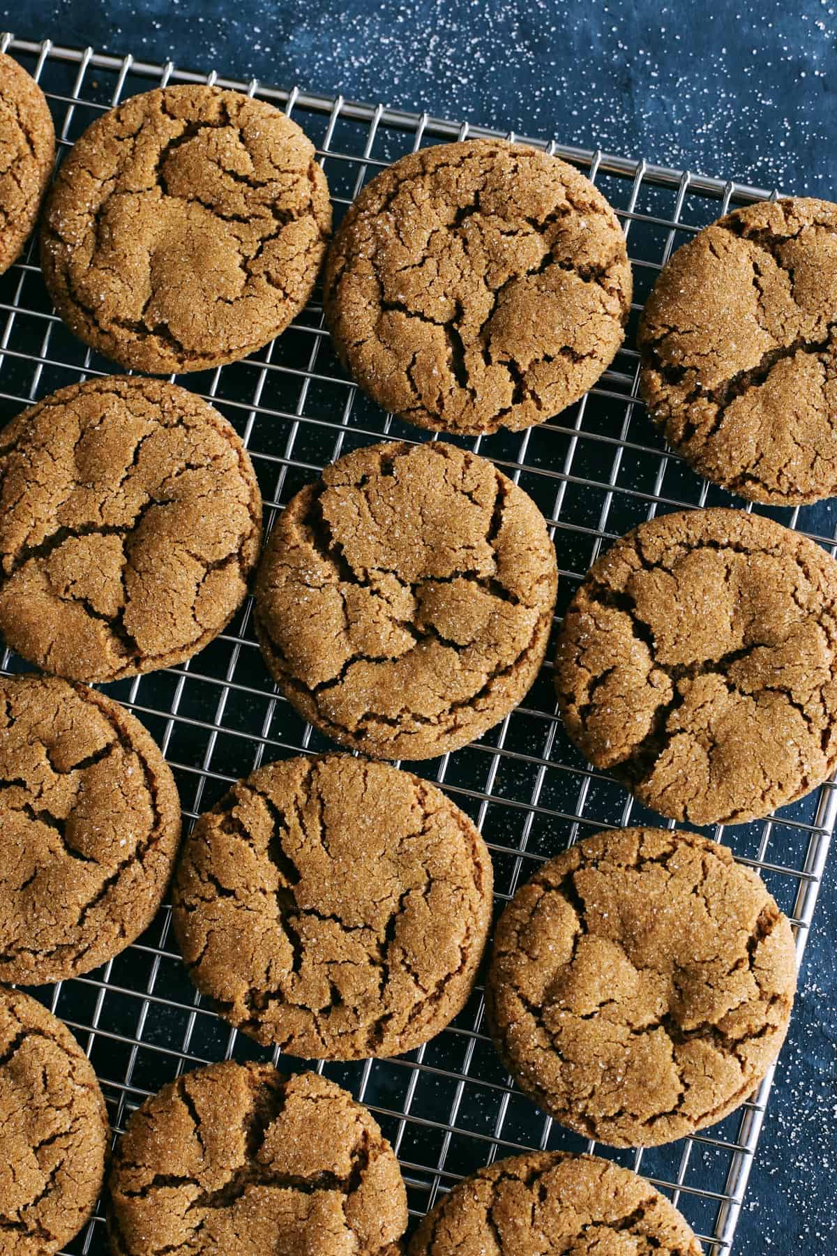 Chewy Ginger Molasses Cookie