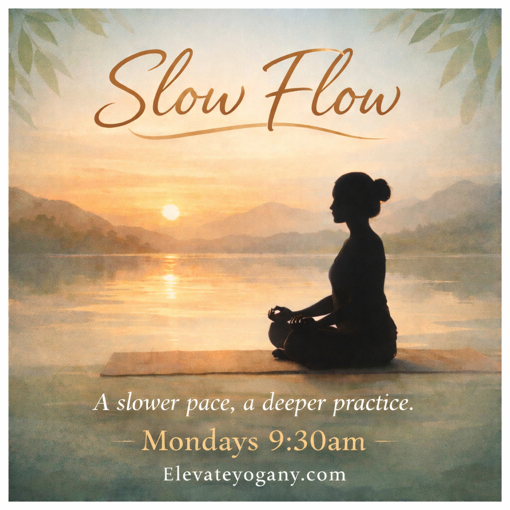 Slow Flow with Michelle 