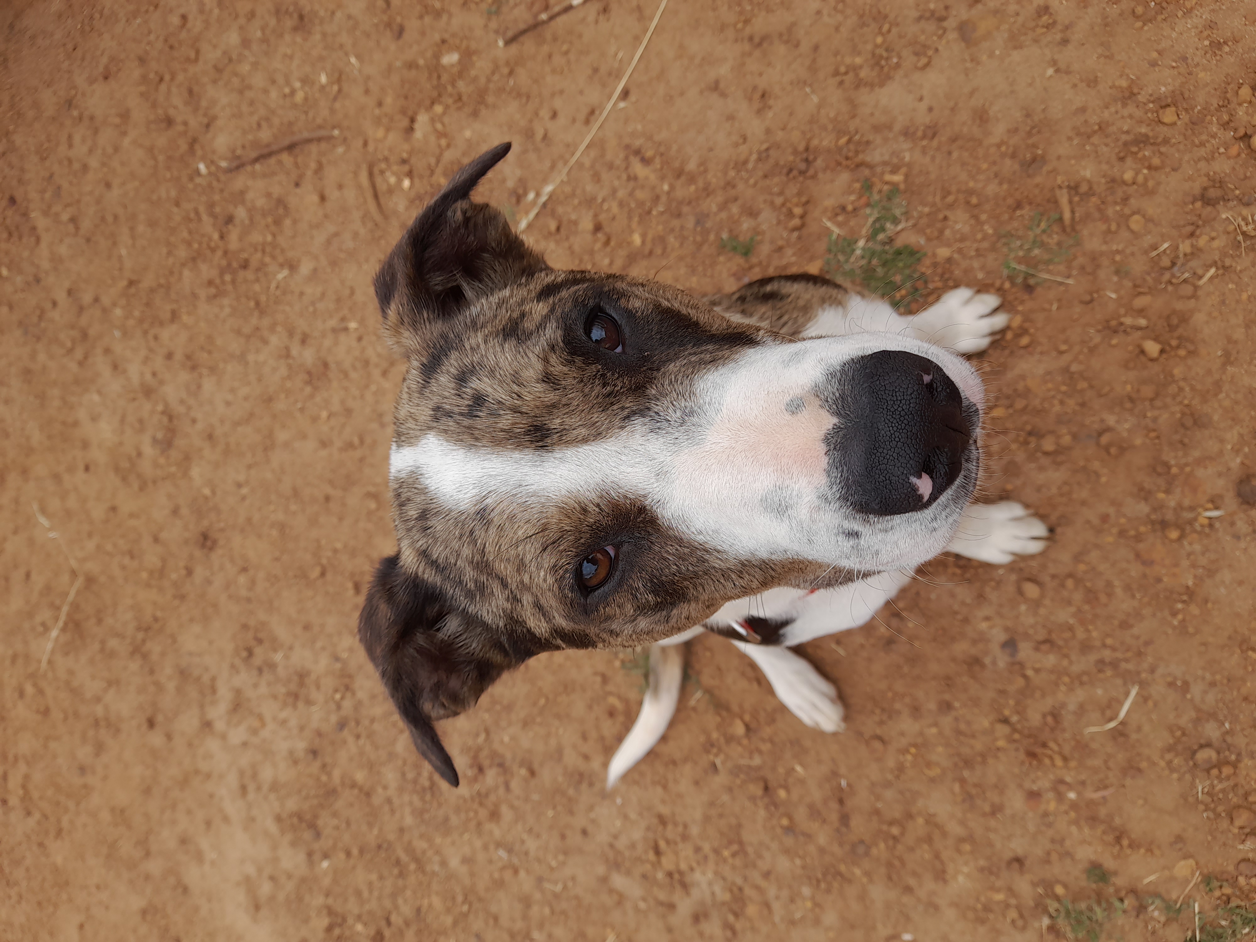 Coaching session with Amy