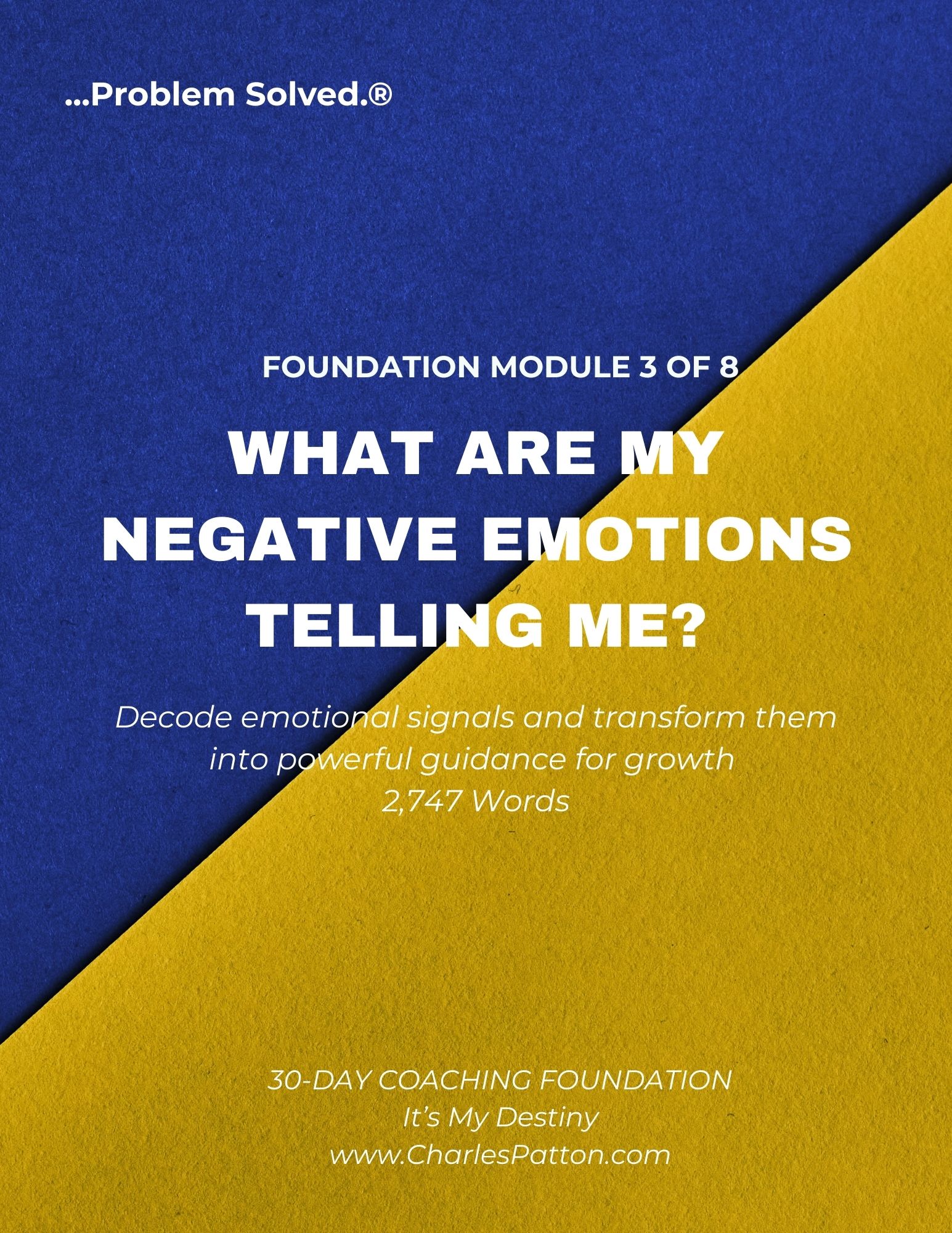 MODULE 3: WHAT ARE MY NEGATIVE EMOTIONS TELLING ME?