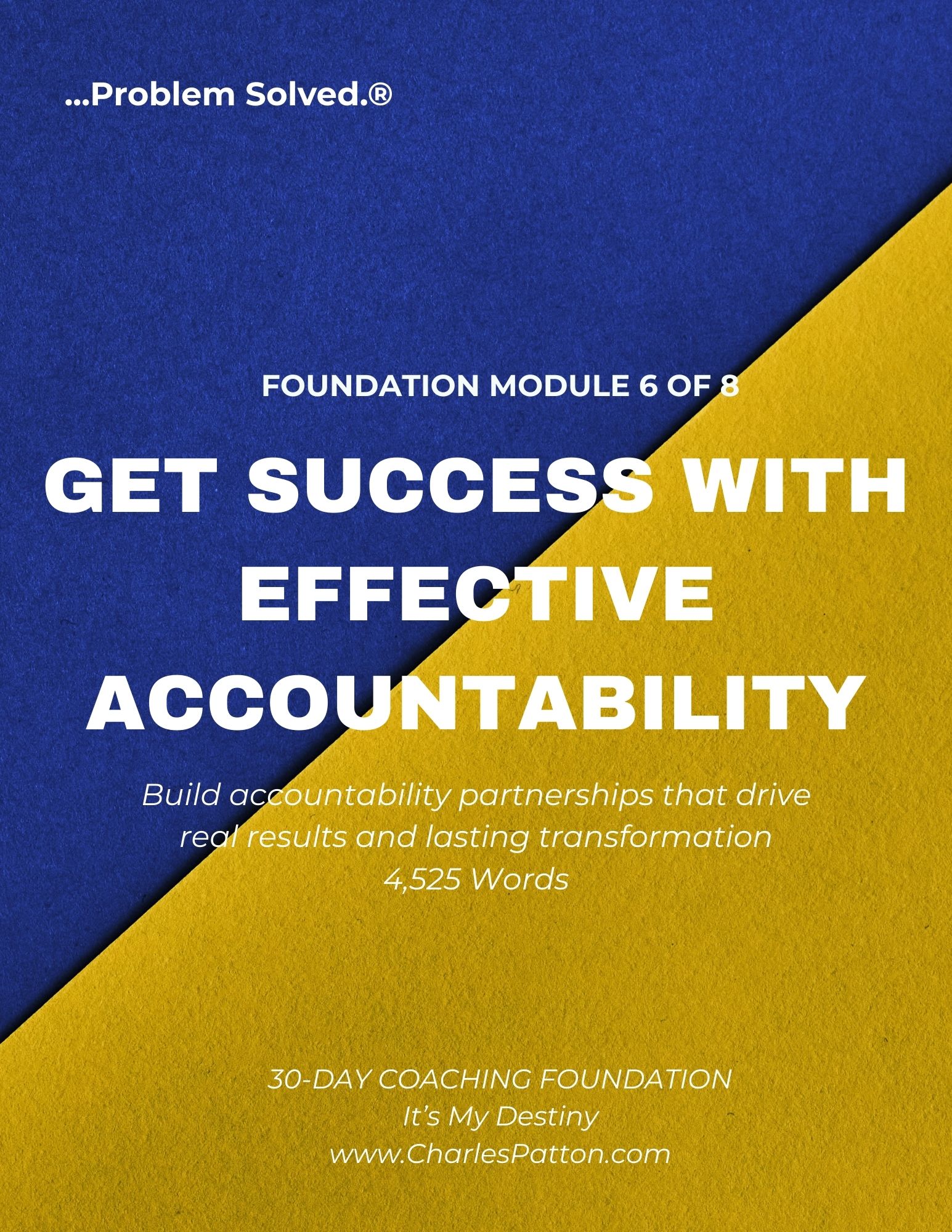 MODULE 6: GET SUCCESS WITH EFFECTIVE ACCOUNTABILITY